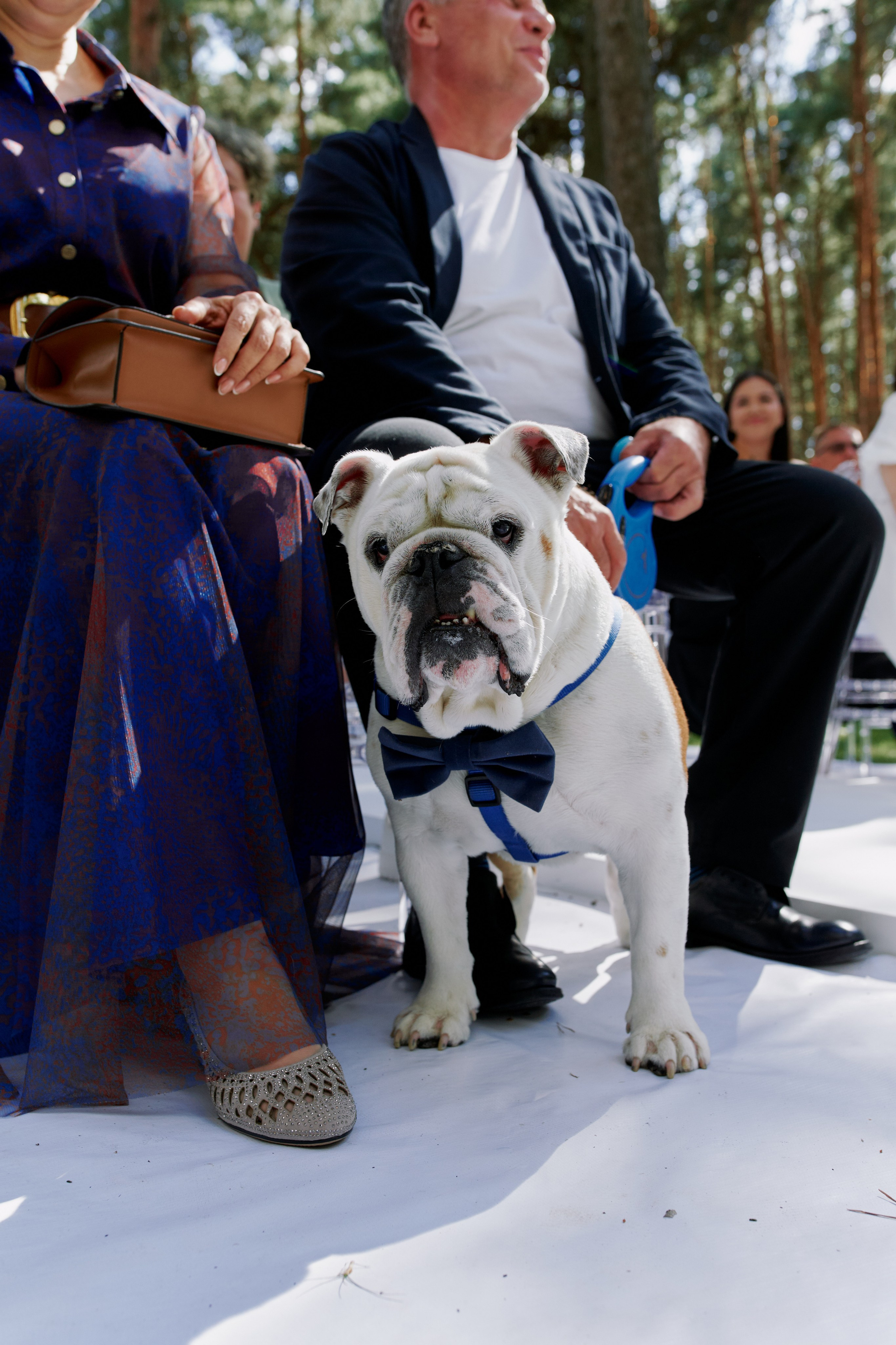 Александр и Екатерина. Главная