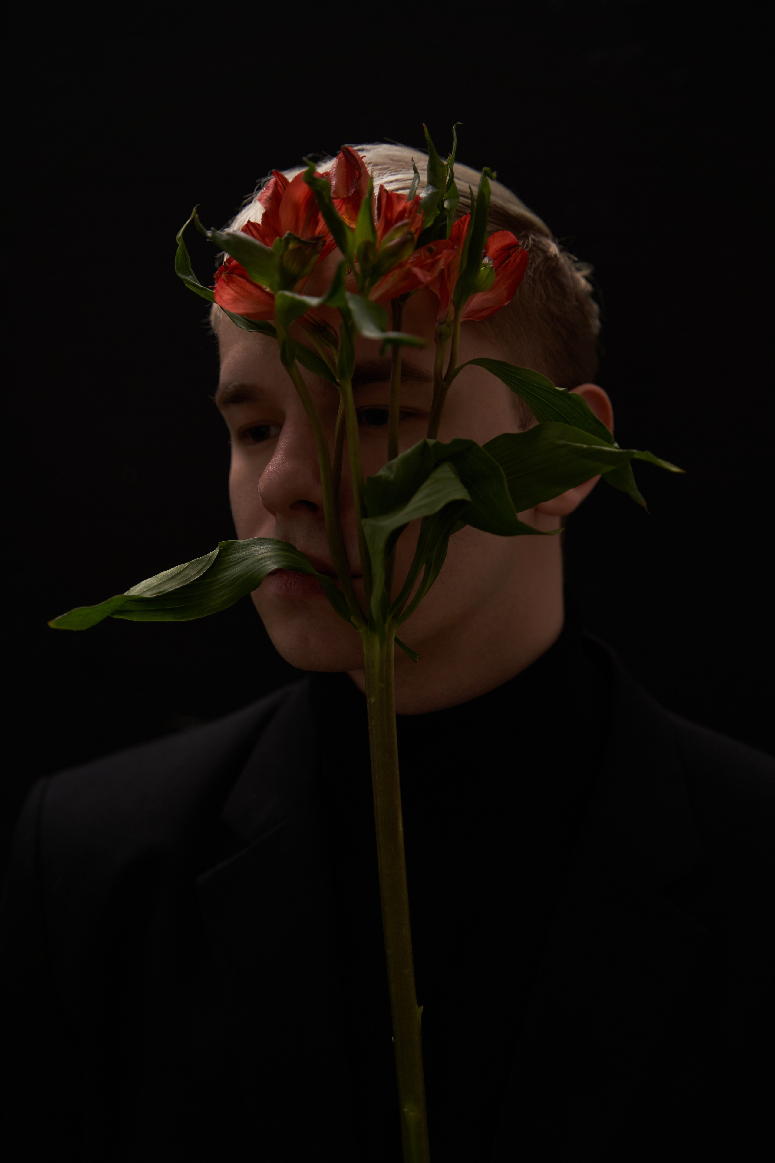 Alstroemeria. Дарья Погарская