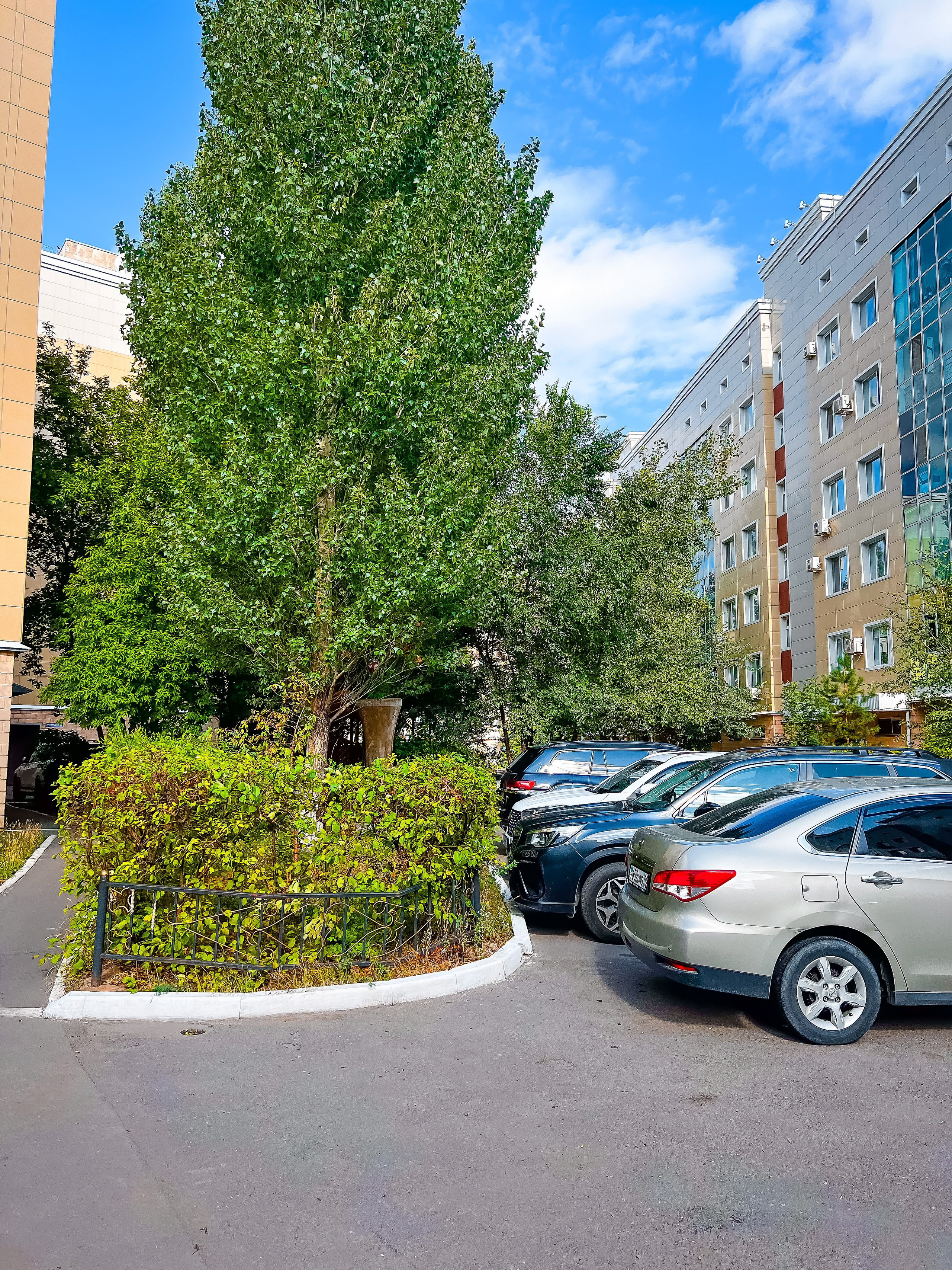 Пример четыре. Семейный и Свадебный фотограф в Астане Александр Астапов