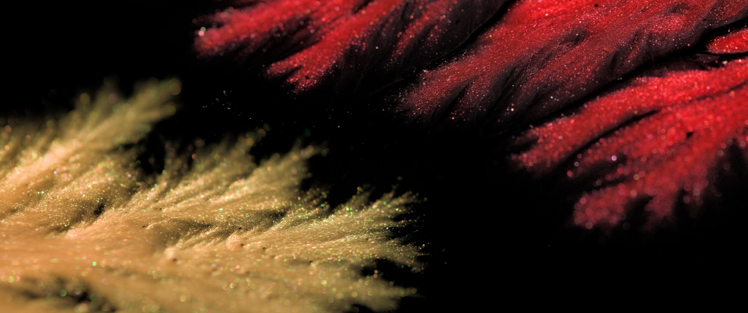 Genesis. Short films by Vadim Sherbakov