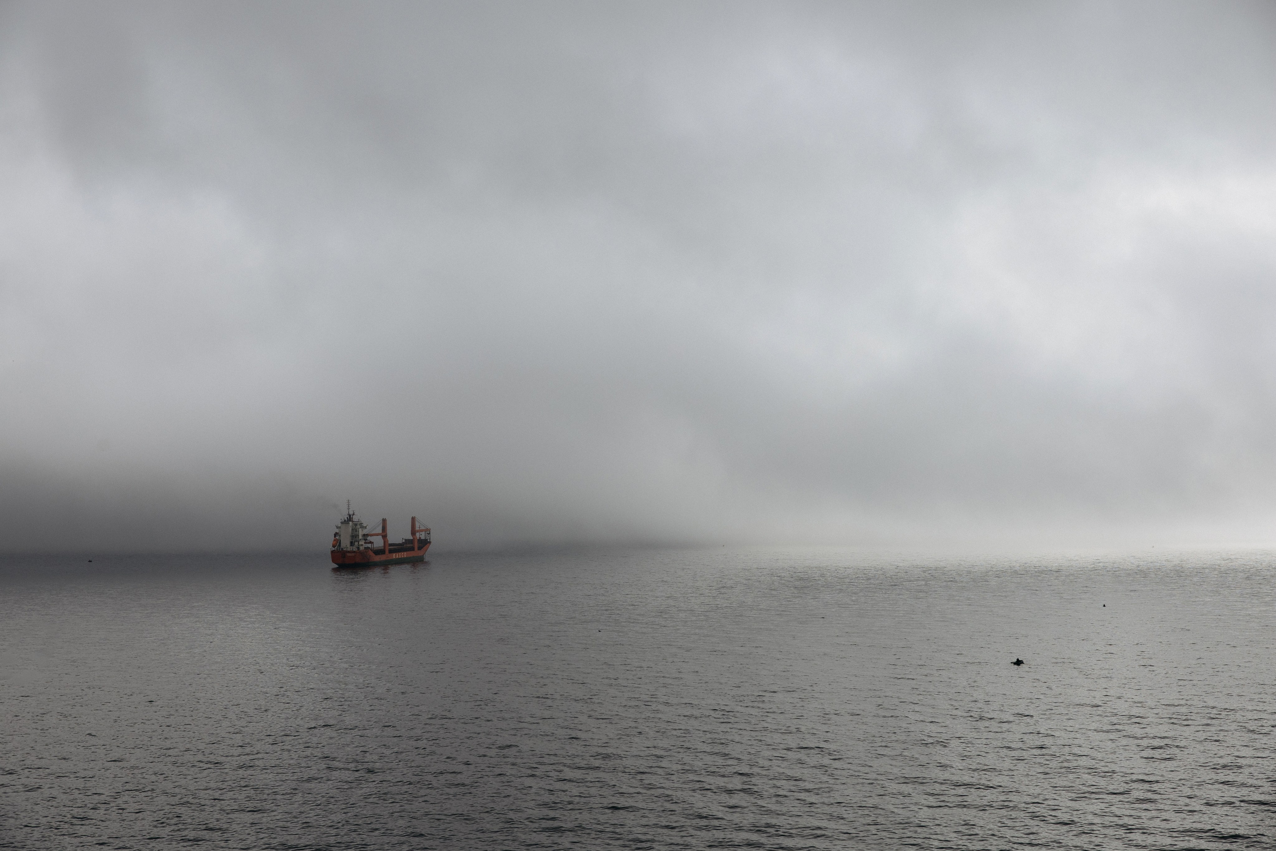 КАРИНА КОКС. Wedding and family photographer in Vladivostok Anton Blokhin