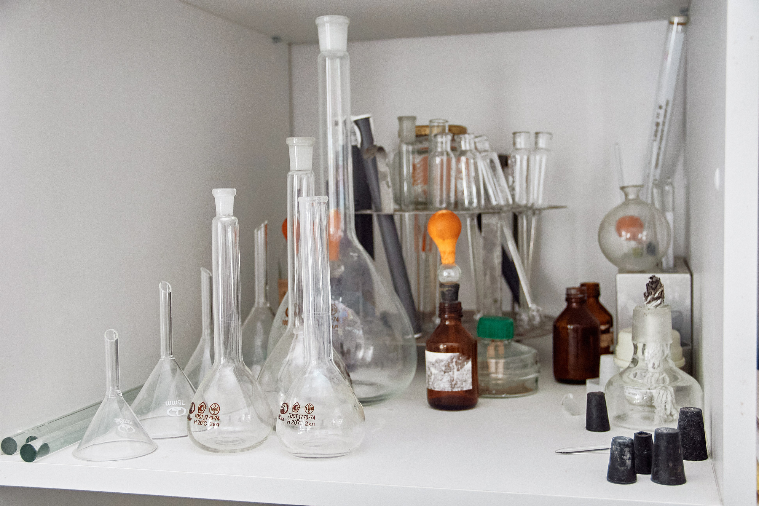 Экскурсия «Агроферма-Катынь». Фотограф в Смоленске Ася Польшина