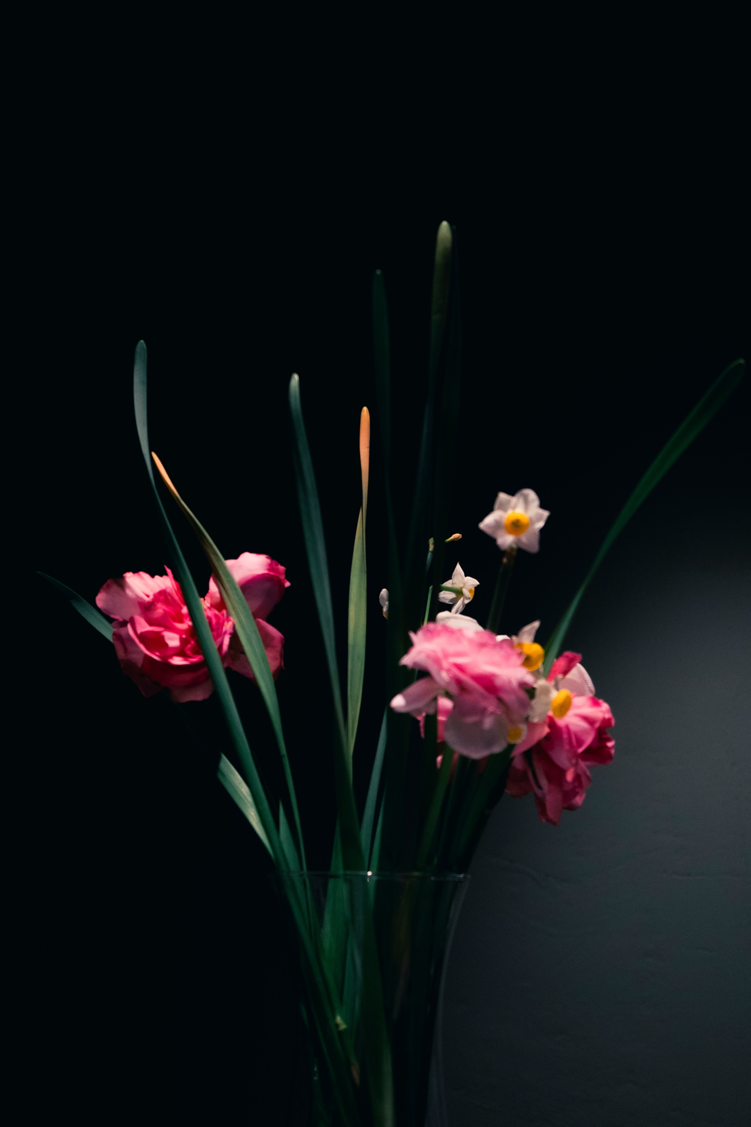 Контент-съемка. Портретный и fashion-фотограф в Санкт-Петербурге Олеся Поле