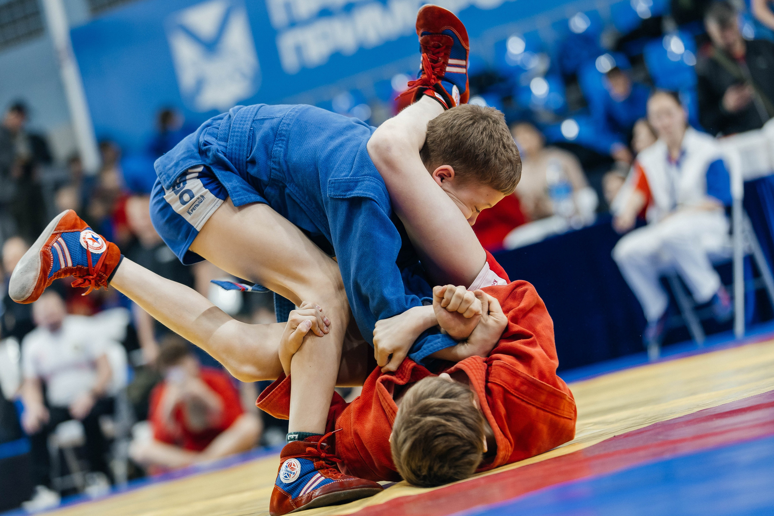 Sambo Championship. Maxim Tsoy Photography