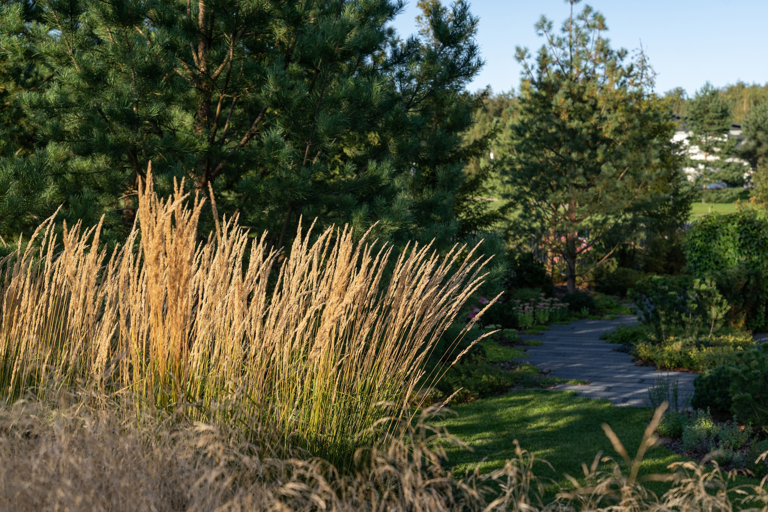 Private house, Moscow region. Артамонов Александр | Архитектурный и ландшафтный фотограф