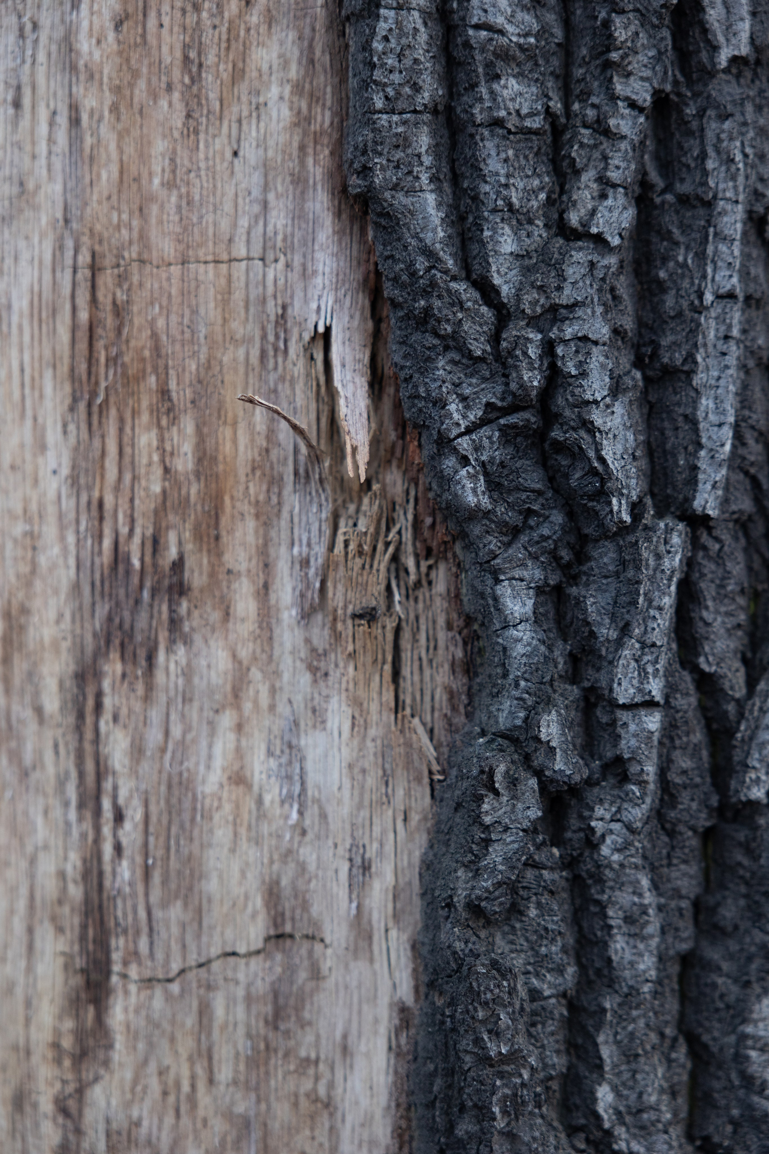 Art prints. Фотограф алина стерхова, алина стерхова фотограф, фотограф москва