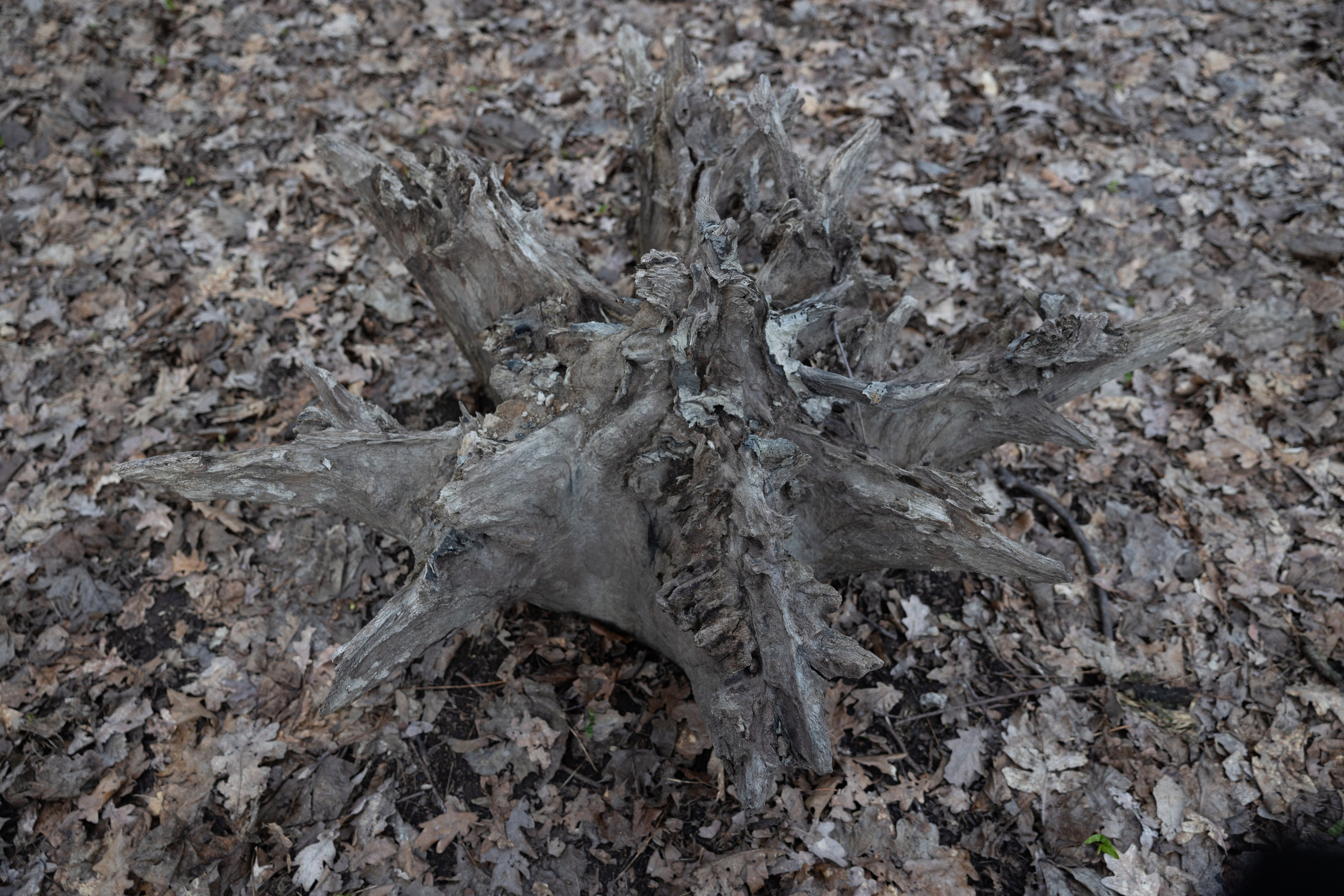 Art prints. Фотограф алина стерхова, алина стерхова фотограф, фотограф москва