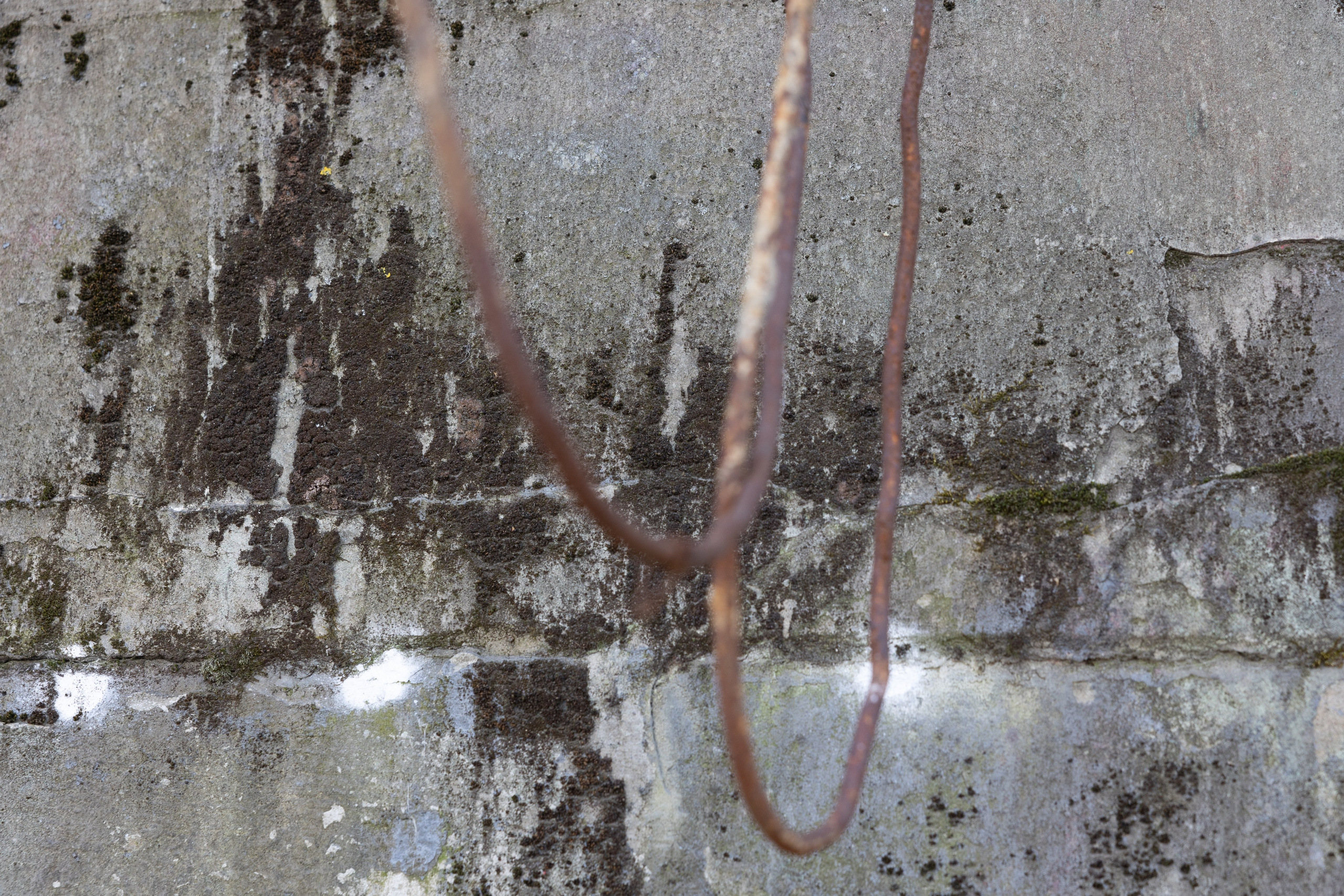 Art prints. Фотограф алина стерхова, алина стерхова фотограф, фотограф москва