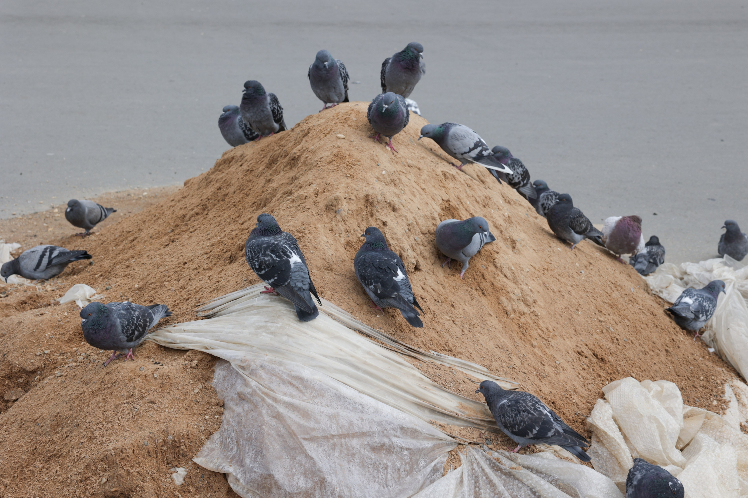 Art prints. Фотограф алина стерхова, алина стерхова фотограф, фотограф москва