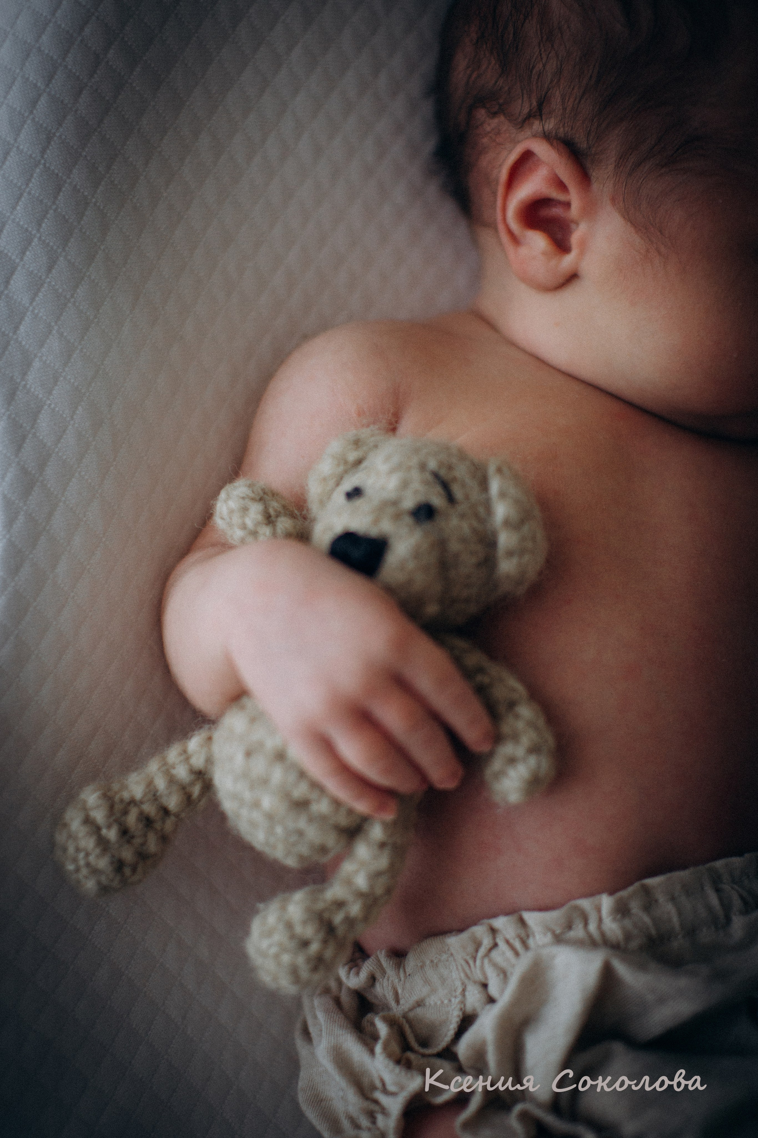 alt="семейный фотограф alt="фотограф новорожденных alt="фотосессия новорожденного alt="newborn alt="ньюборн