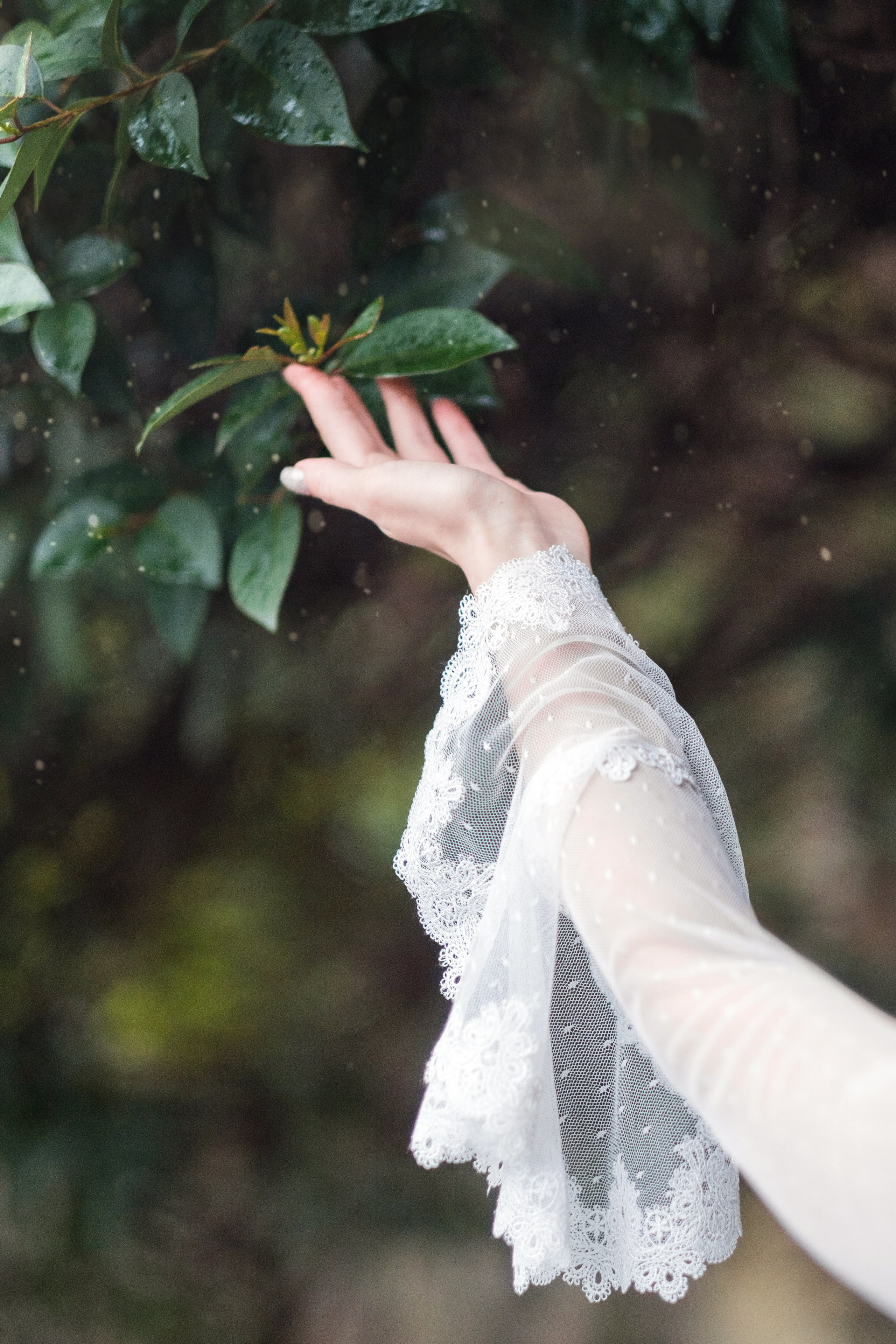 Айвори. Свадебный Видеограф Фотограф в Сочи