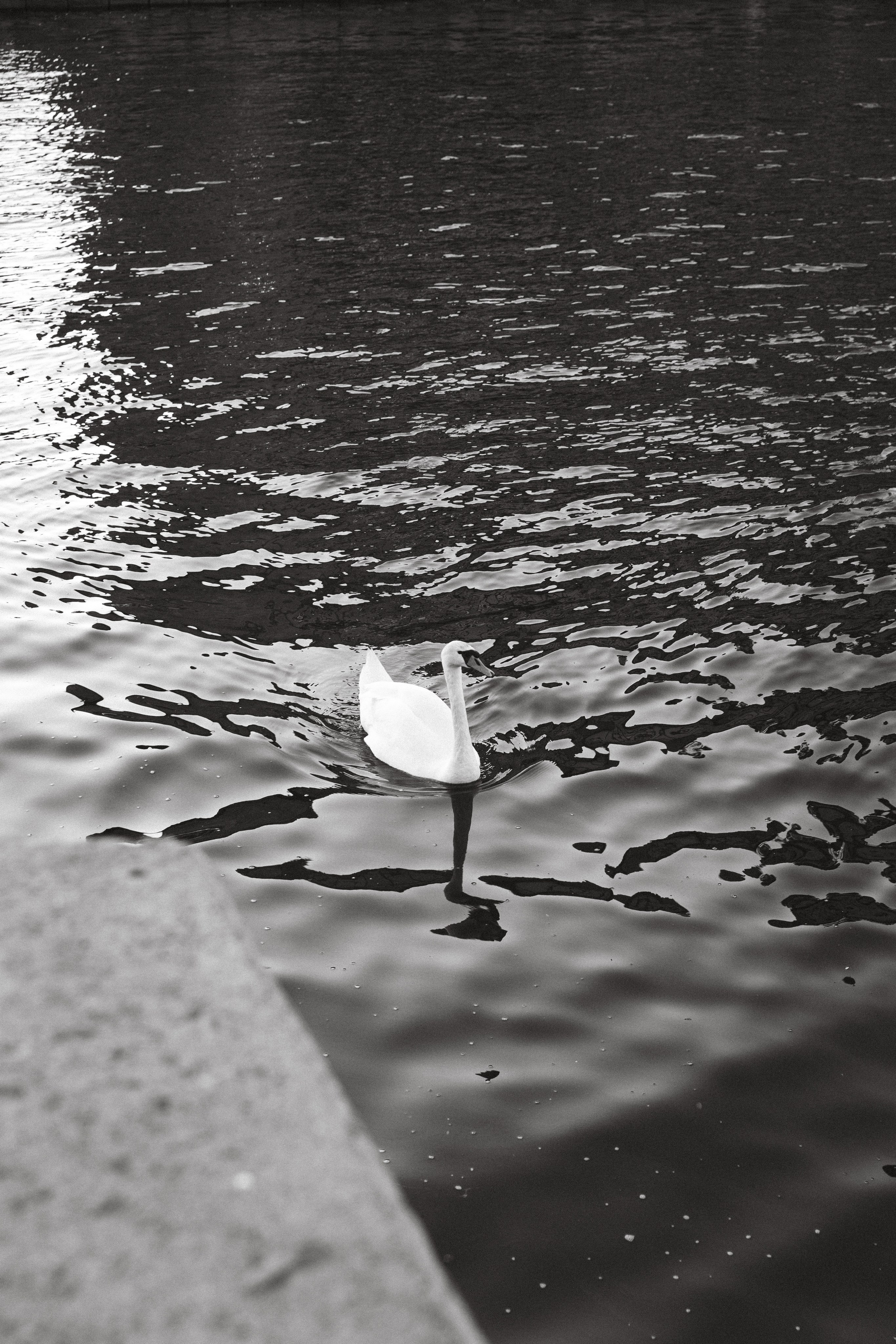 Андрей и Юля / Кант 5 утра. Фотограф Калининград Илья Миллер