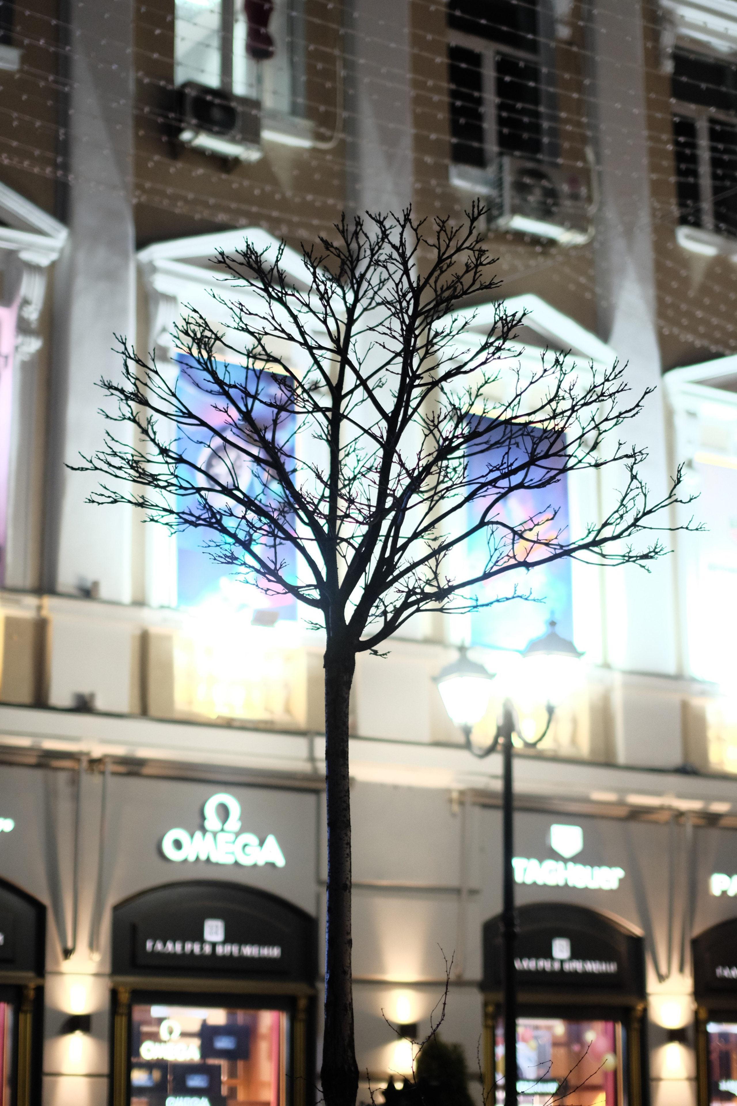 Street. Свадебный фотограф в Ростове-на-Дону Владимир Пешков