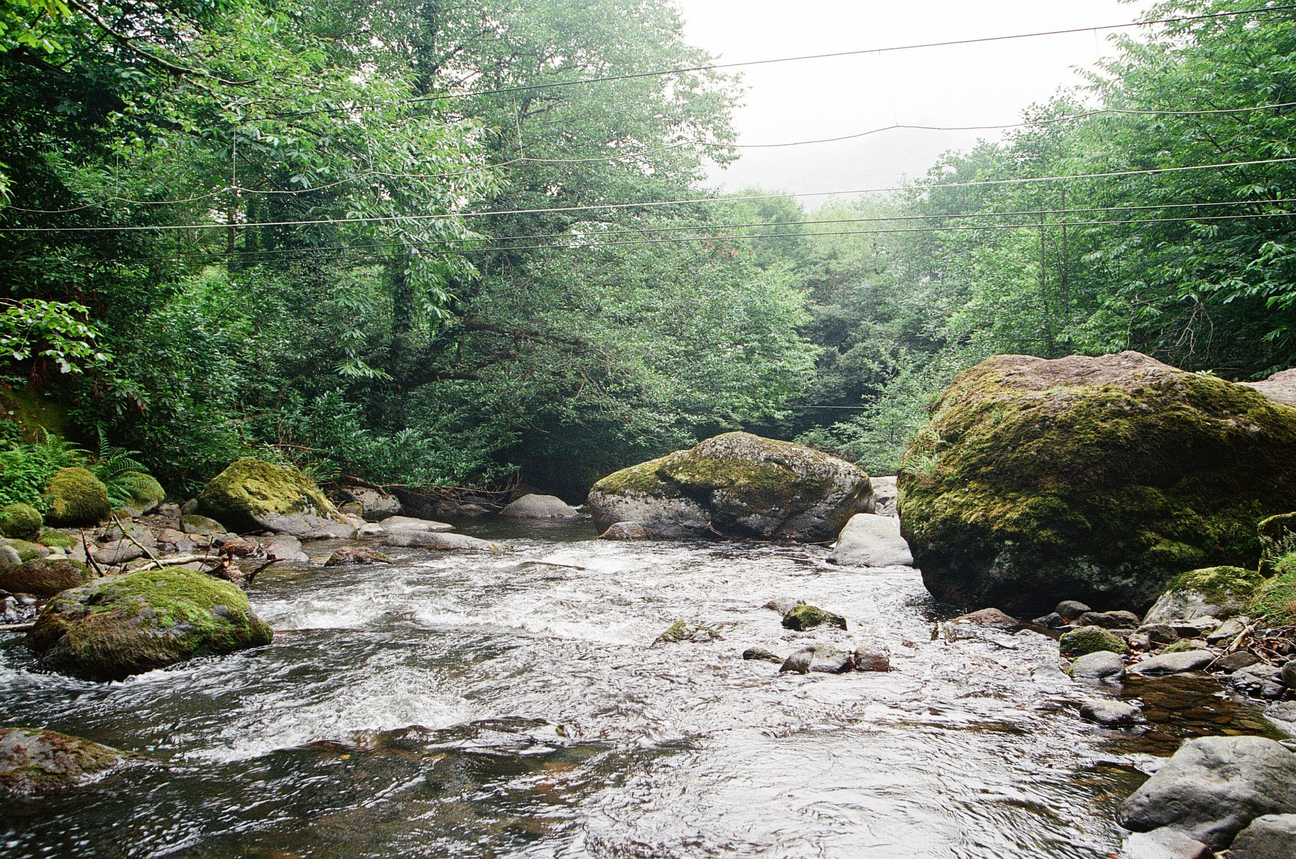 ГРУЗИЯ. ПРИРОДА.25. Профессиональный фотограф Федотова Арина