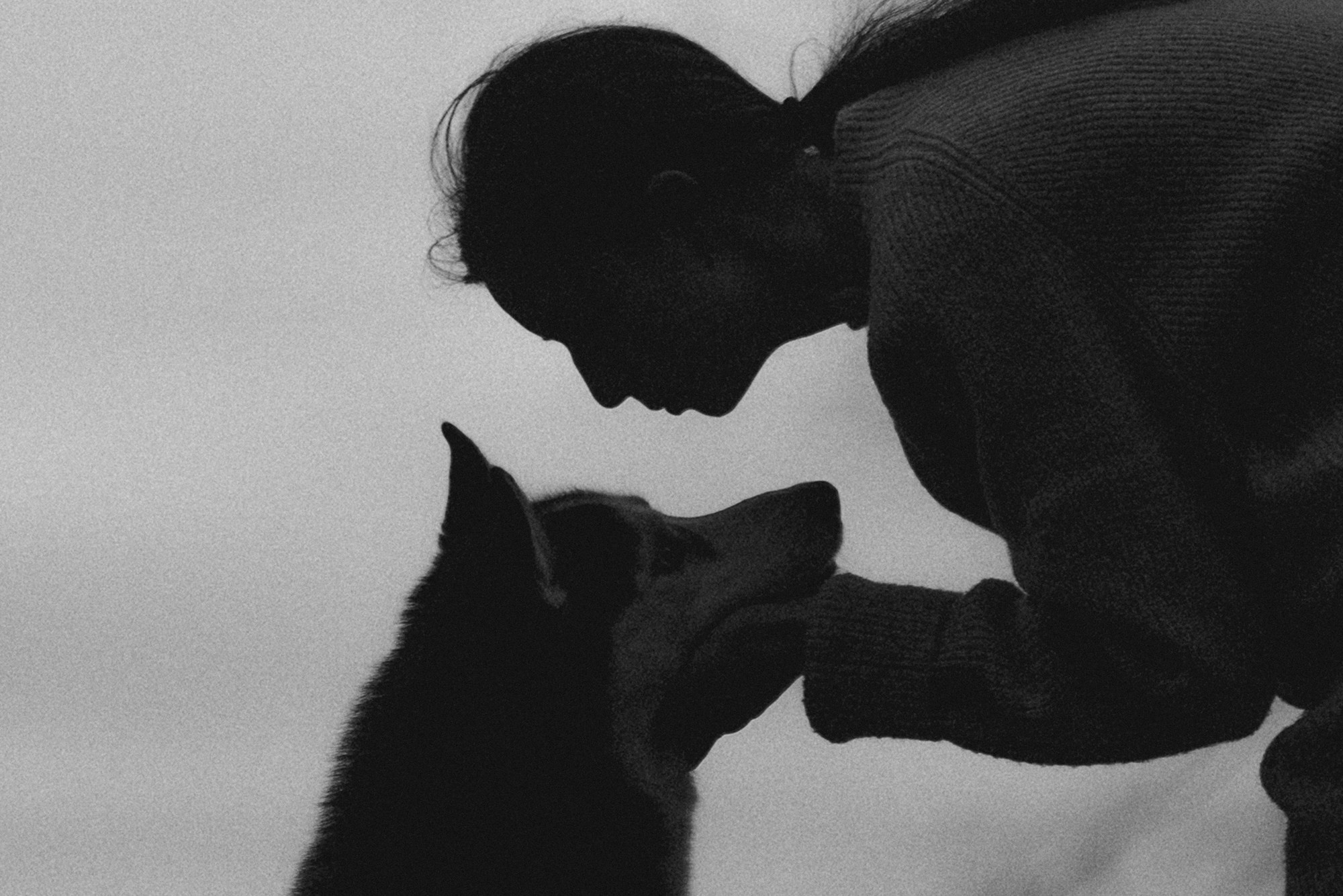 Наташа и Сириус. Фотограф анималист в Москве и Санкт-Петербурге Свиридова Анна