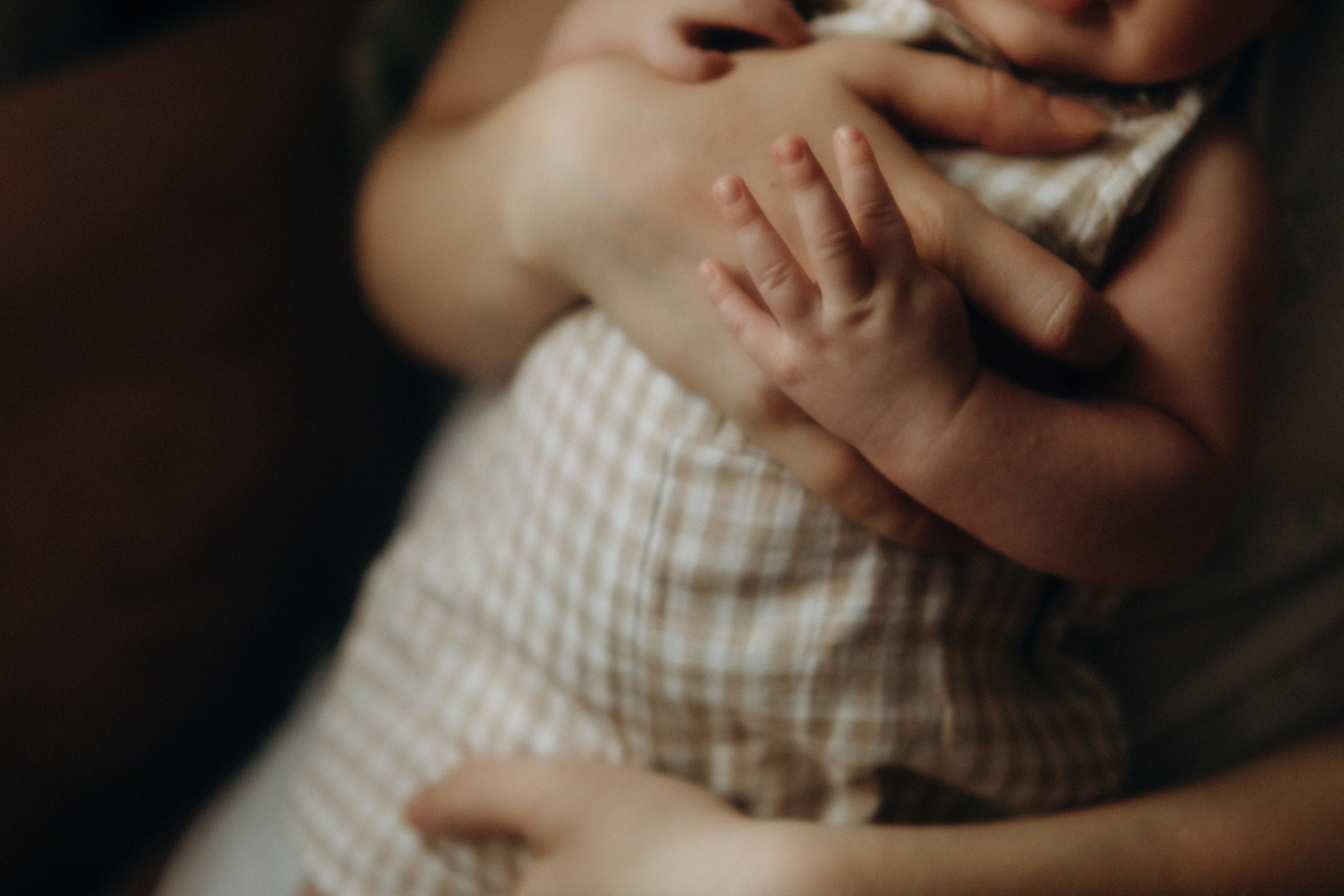 Нежность. Свадебный и семейный фотограф Арестенко Анастасия