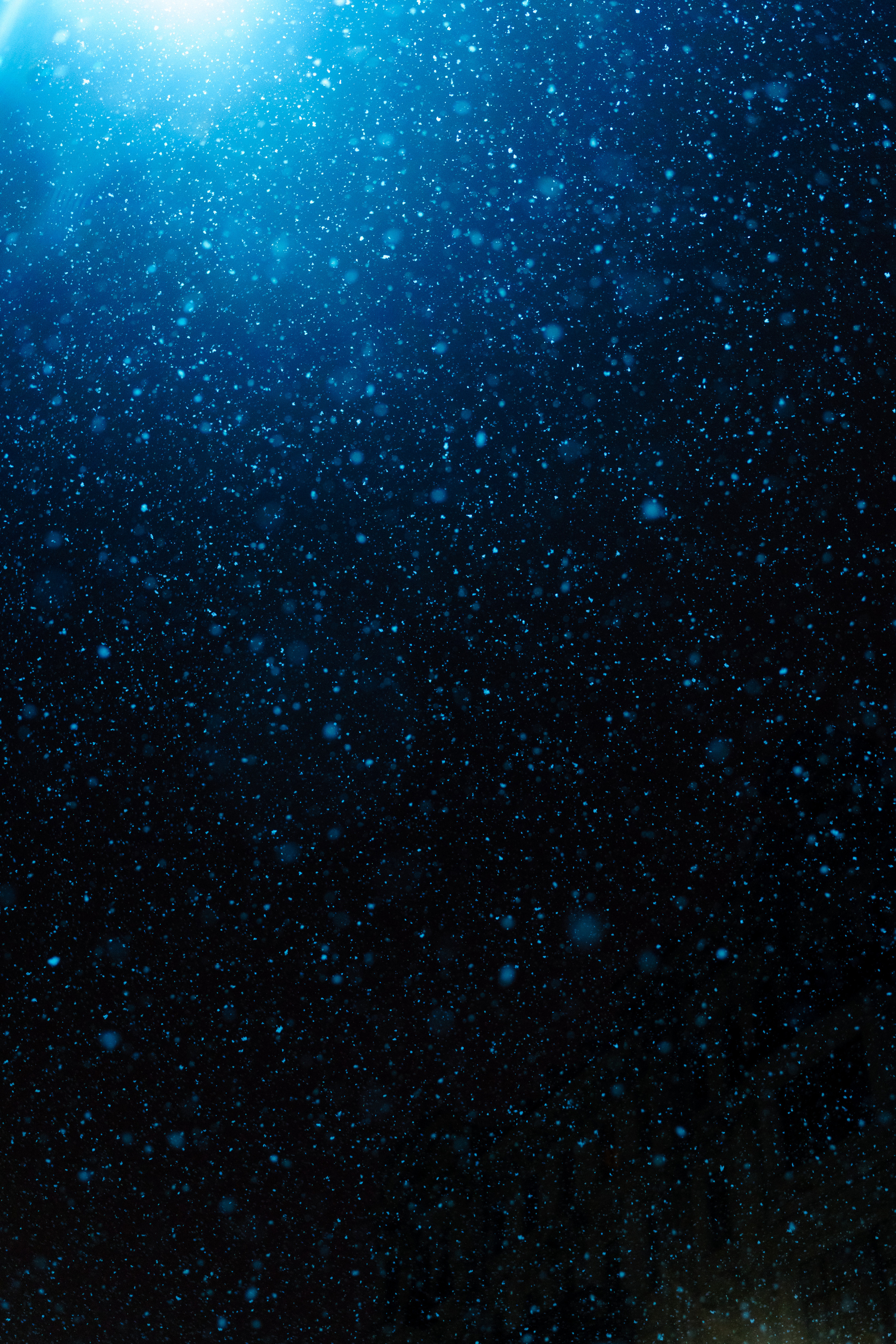 Кутнов Владислав | Портретная и городская фотосессии | Санкт-Петербург