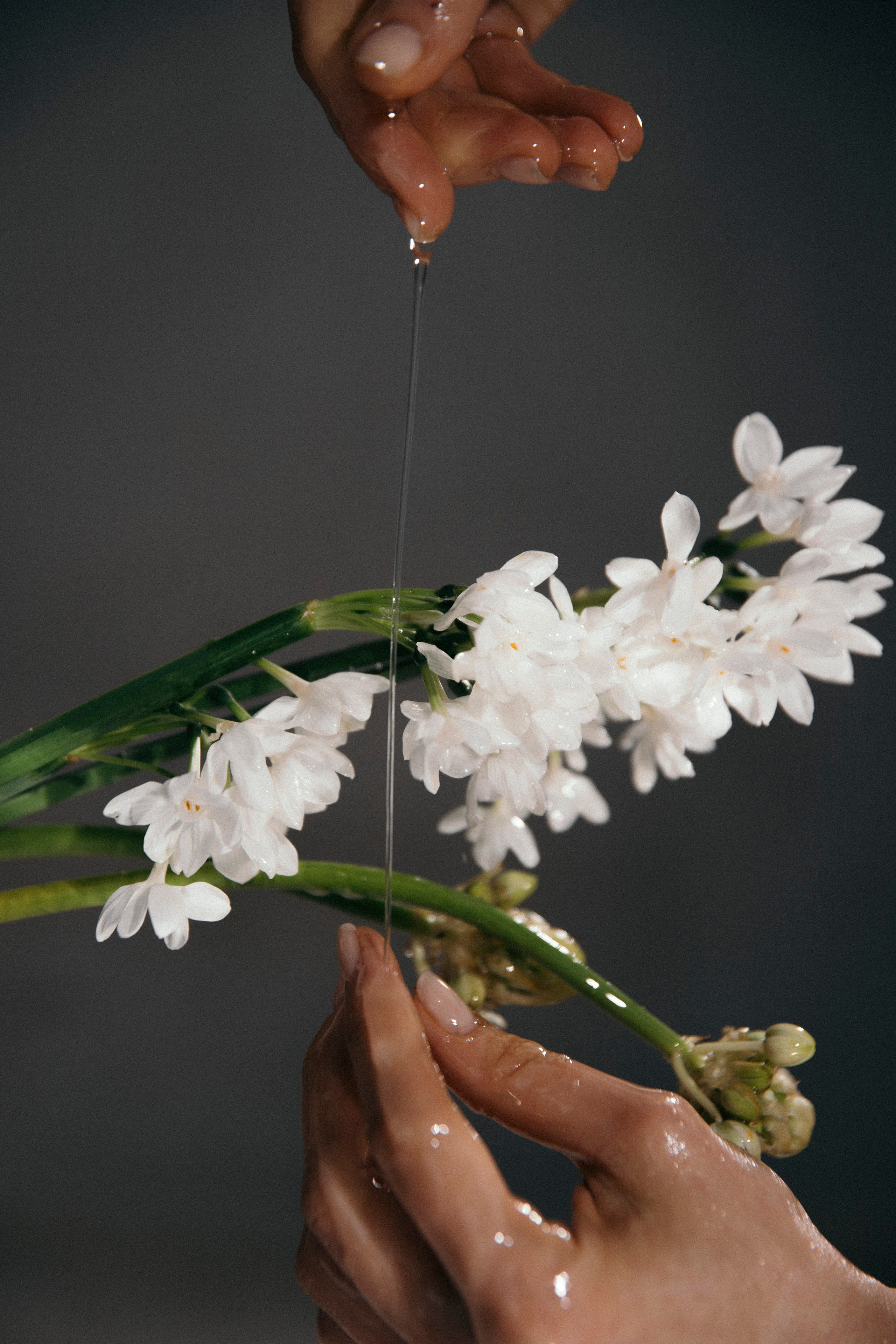 Саша Фирс фотограф Вьетнам Фукуок Дананг|Ташкент