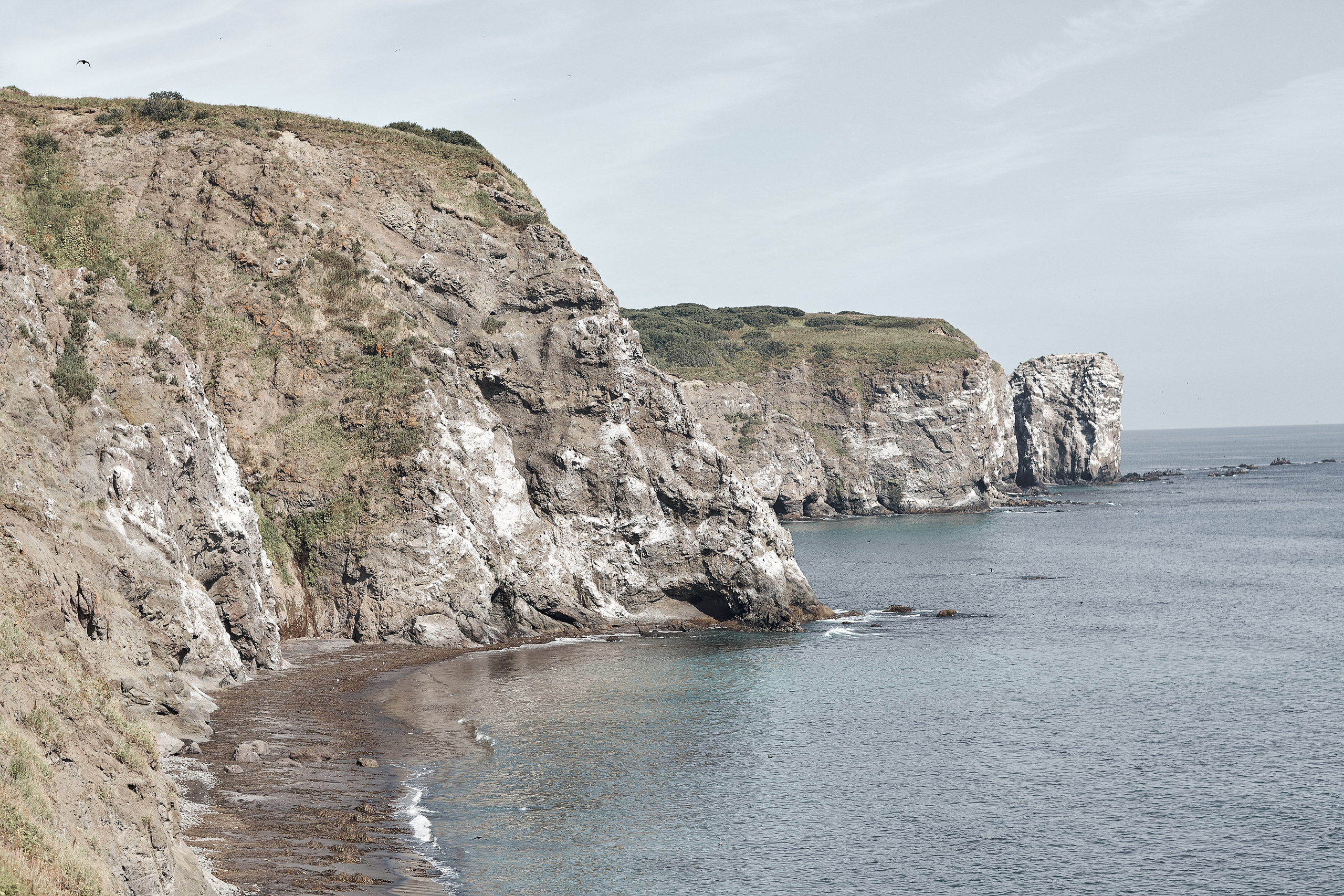 Дмитрий и Валентина  Свадебный фотограф Камчатка Панов Ян. Свадебный фотограф на Камчатке Ян Панов