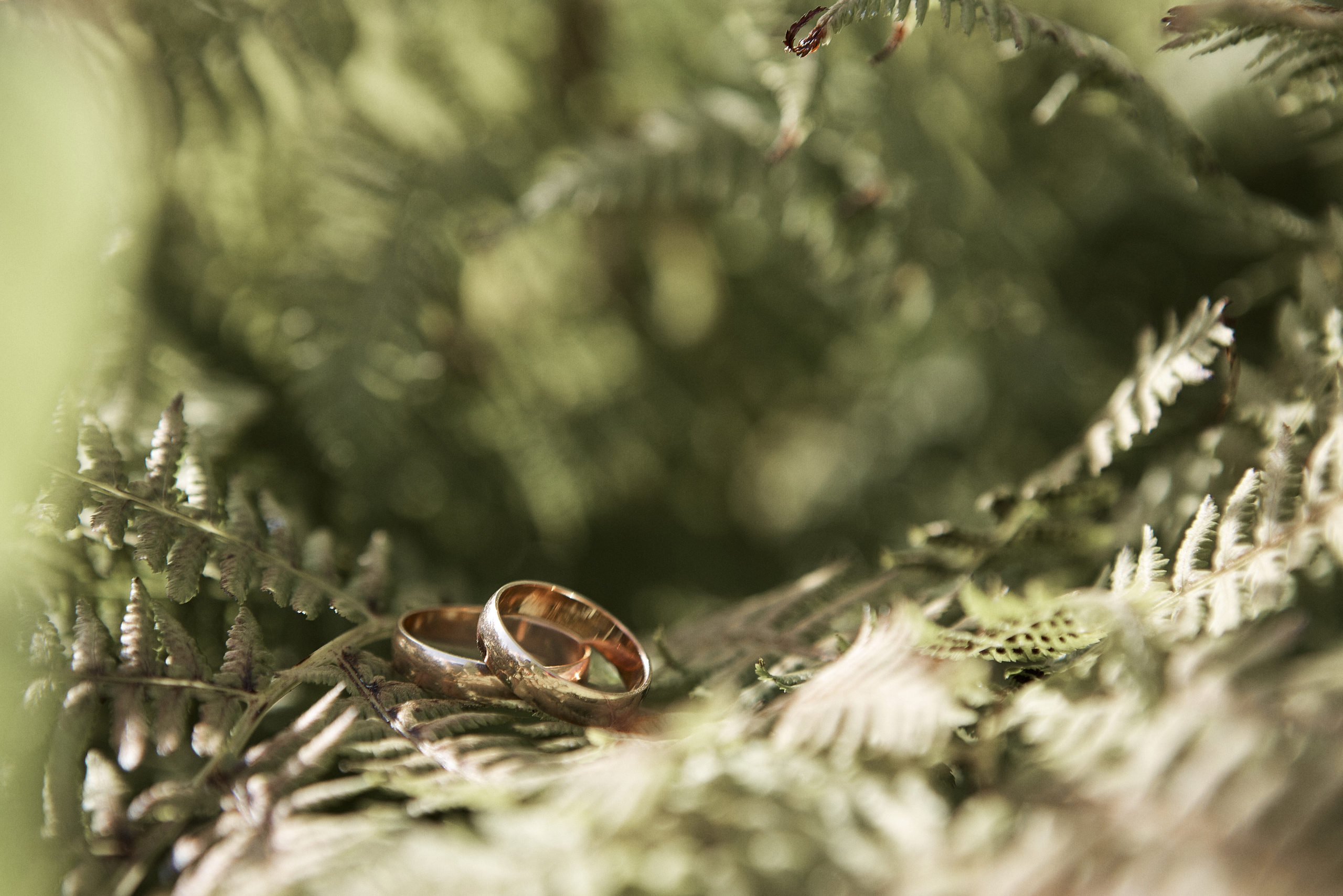 Дмитрий и Валентина  Свадебный фотограф Камчатка Панов Ян. Свадебный фотограф на Камчатке Ян Панов