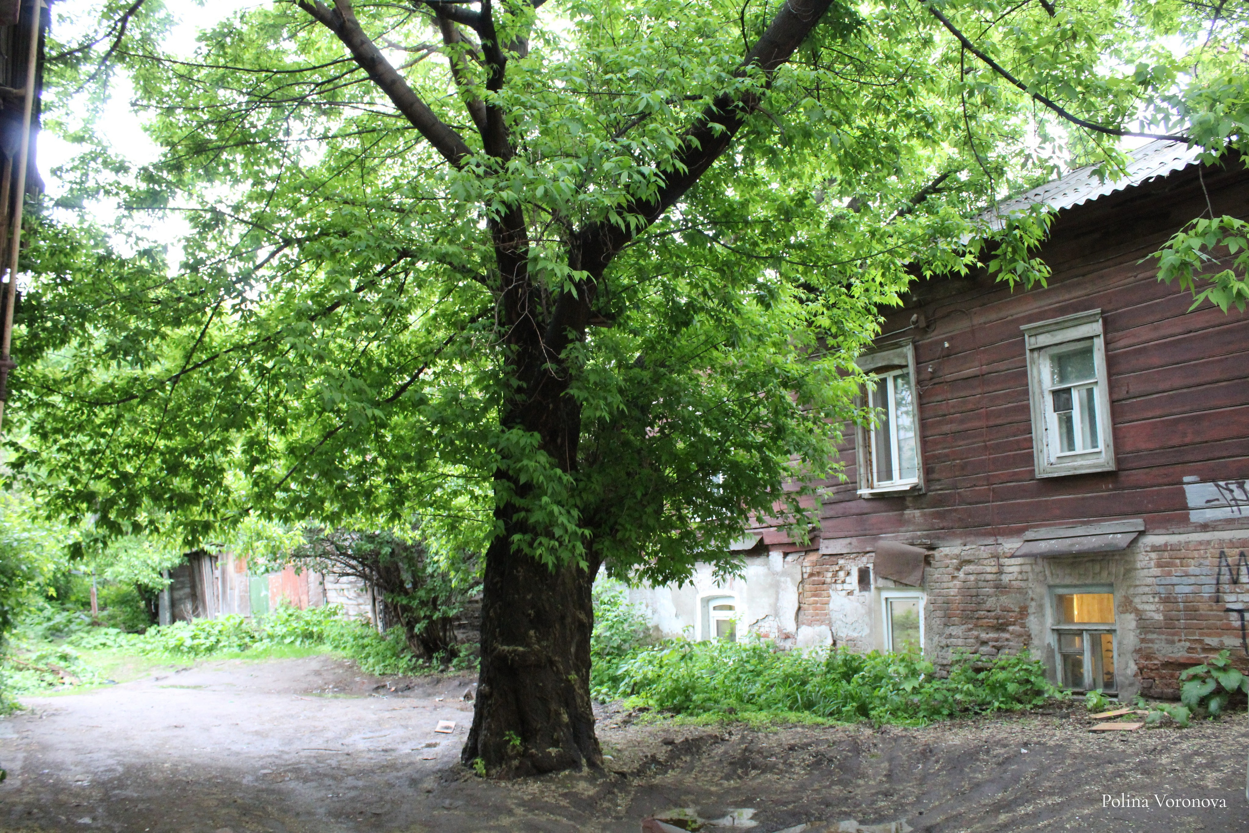 Саратов — город в упадке. Хорошая экспедиция