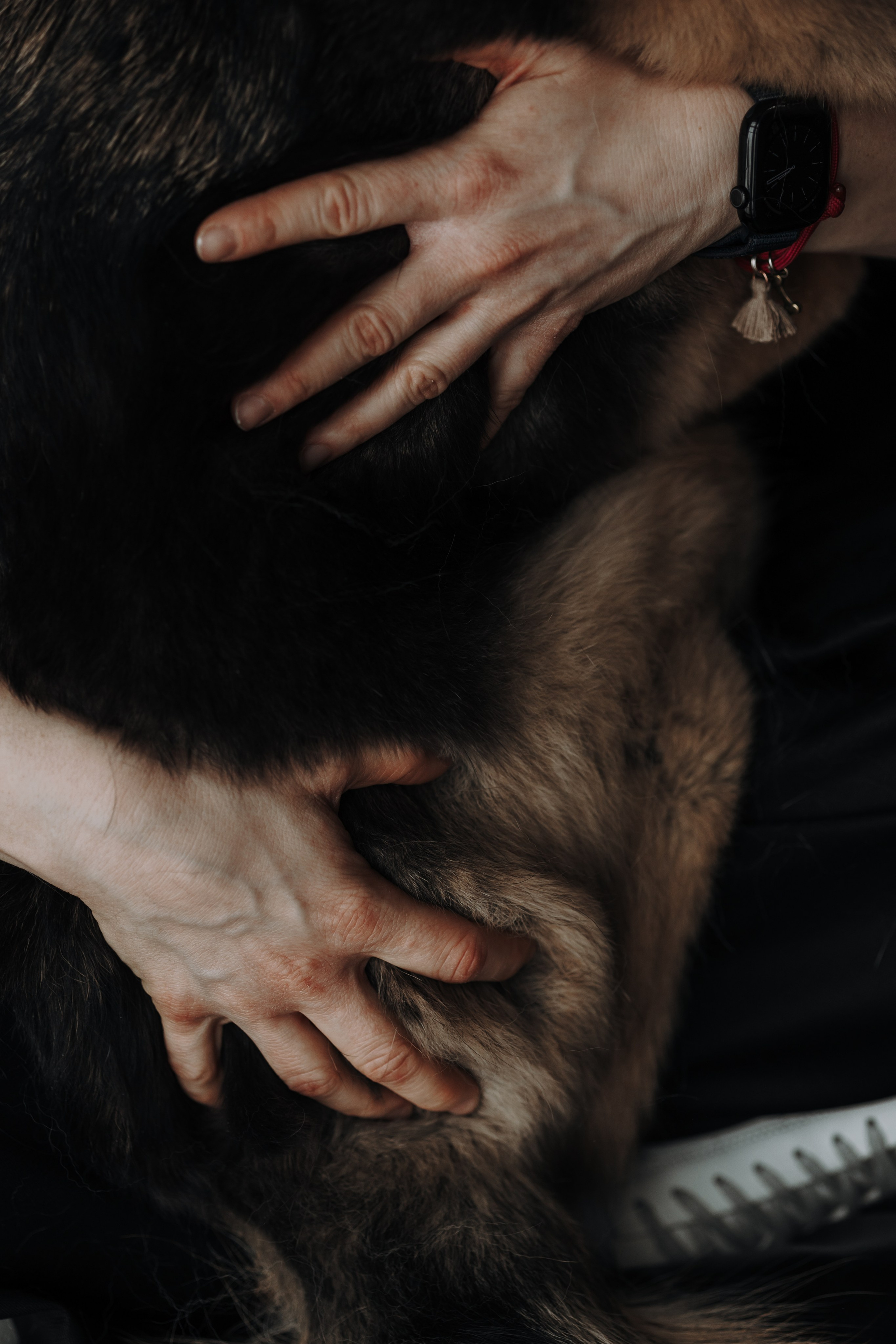 Лена и Дёма. Фотограф — Анималист | Санкт-Петербург