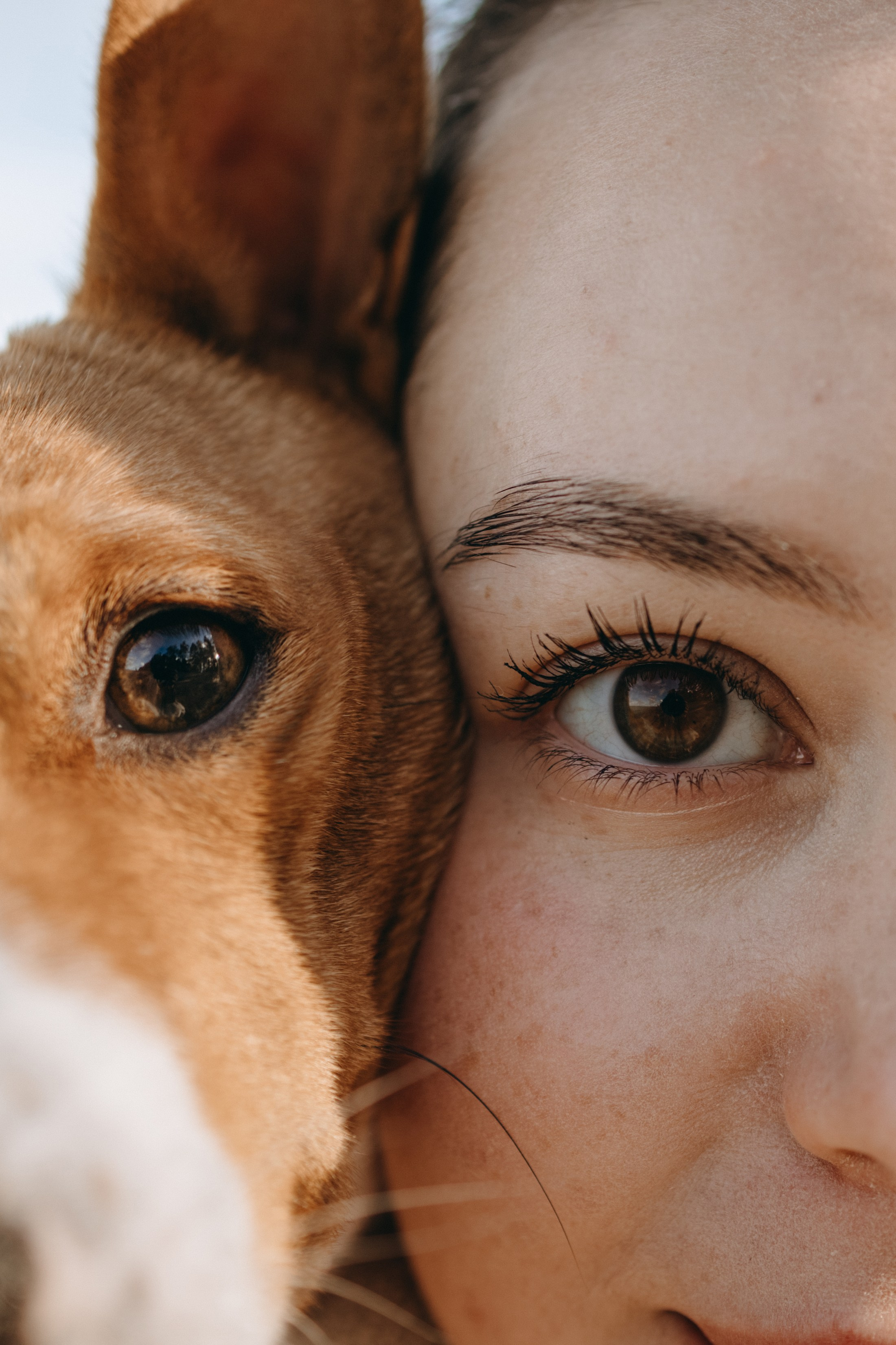 Алиса и Лео. Фотограф — Анималист | Санкт-Петербург