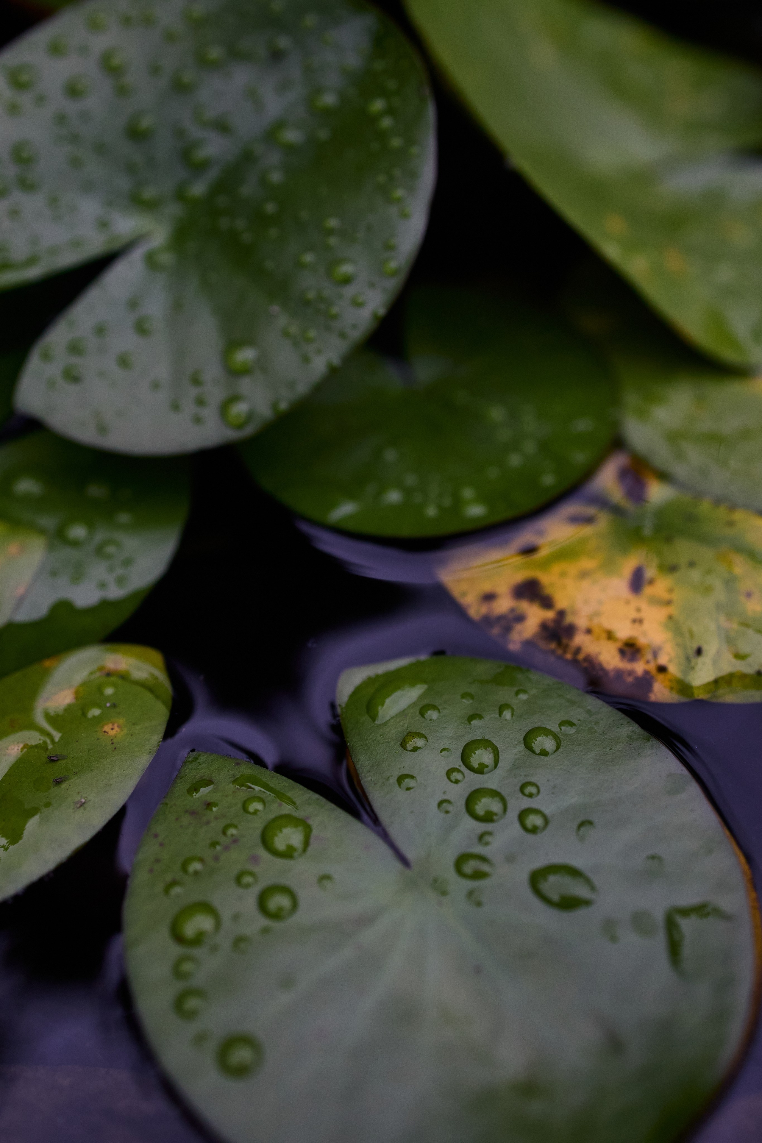 Китай. Хороший репортажный и промышленный фотограф в Казани Алексей Щелконогов