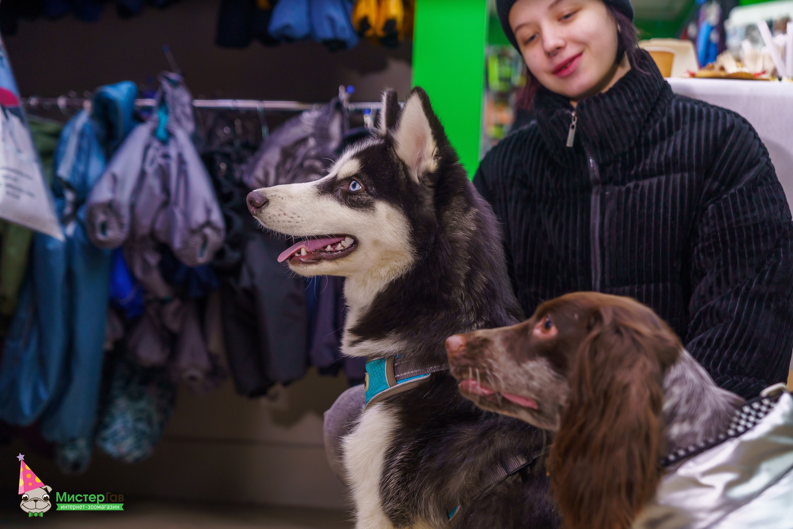 Мистер Гав -13 лет!. Фотограф Челябинск · Ольга Серебрякова