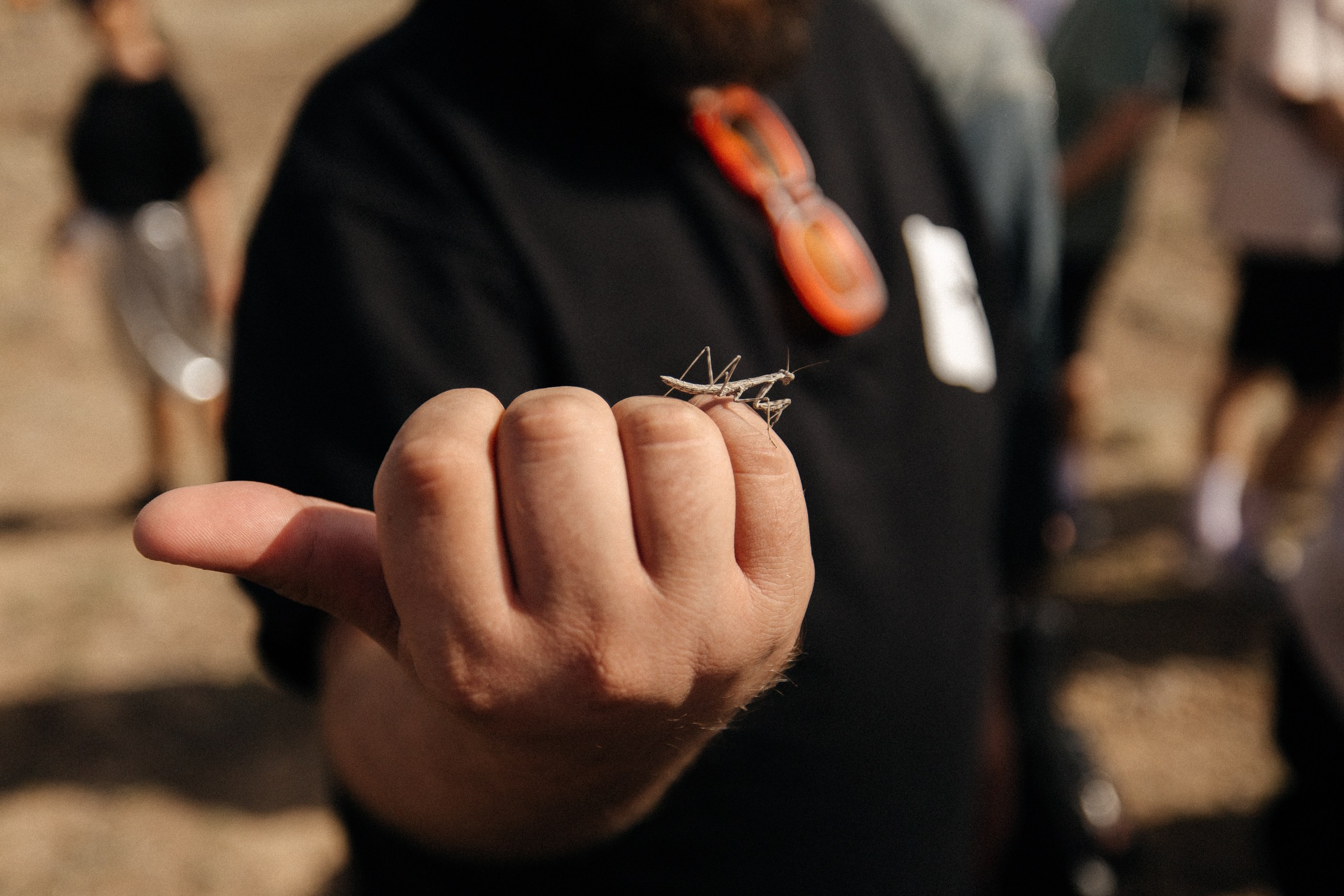 Здравствуйте! Я свадебный фотограф из Ульяновска, работаю в том числе по всей России и с выездом за границу. Снимаю свадьбы, lovestory, корпоративы, светский репортаж. Провожу обучение по фотографии, мастер-классы и воркшопы для других фотографов.