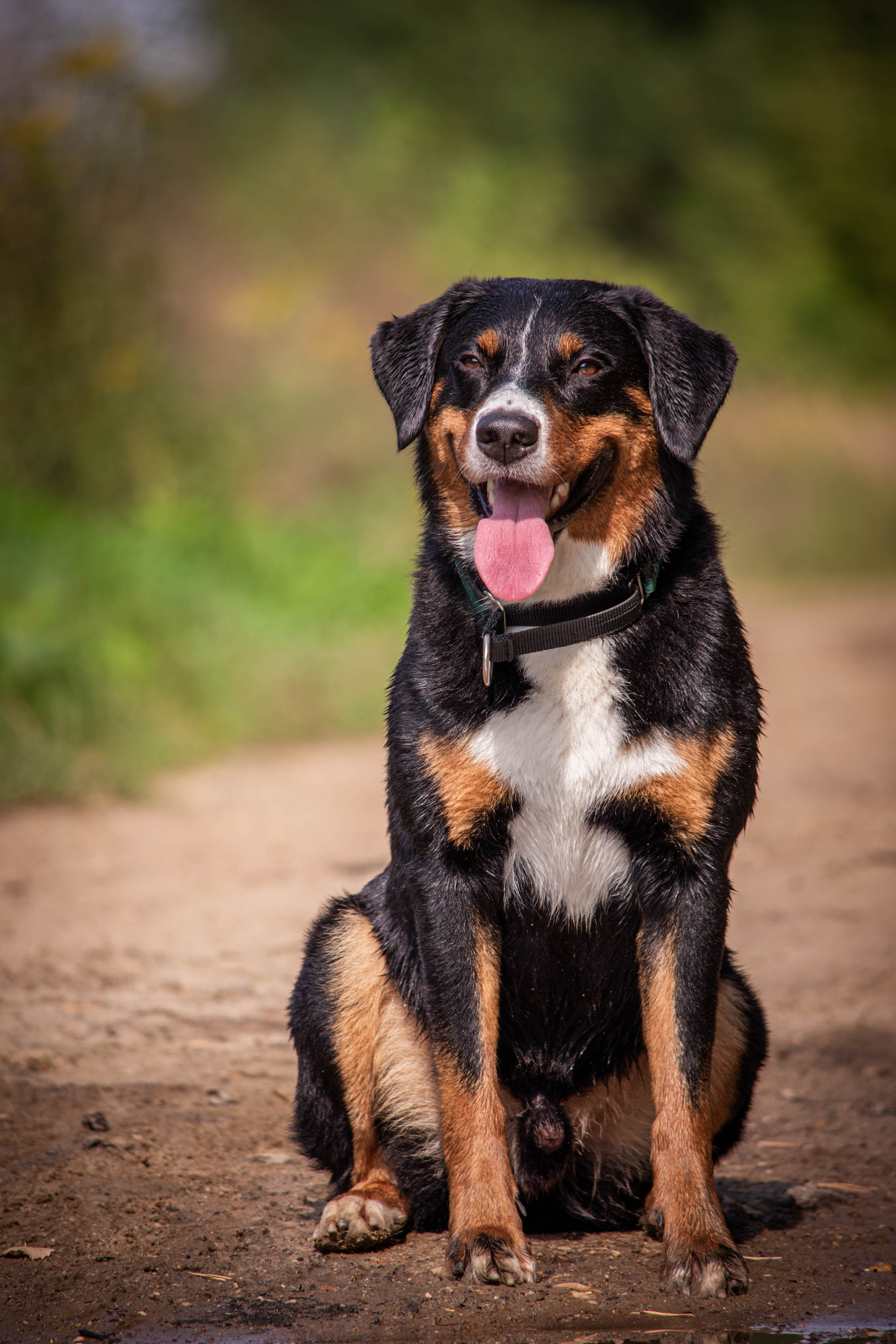 Микки и Юля. Фотограф Светлана Блинова, Москва и Московская область
