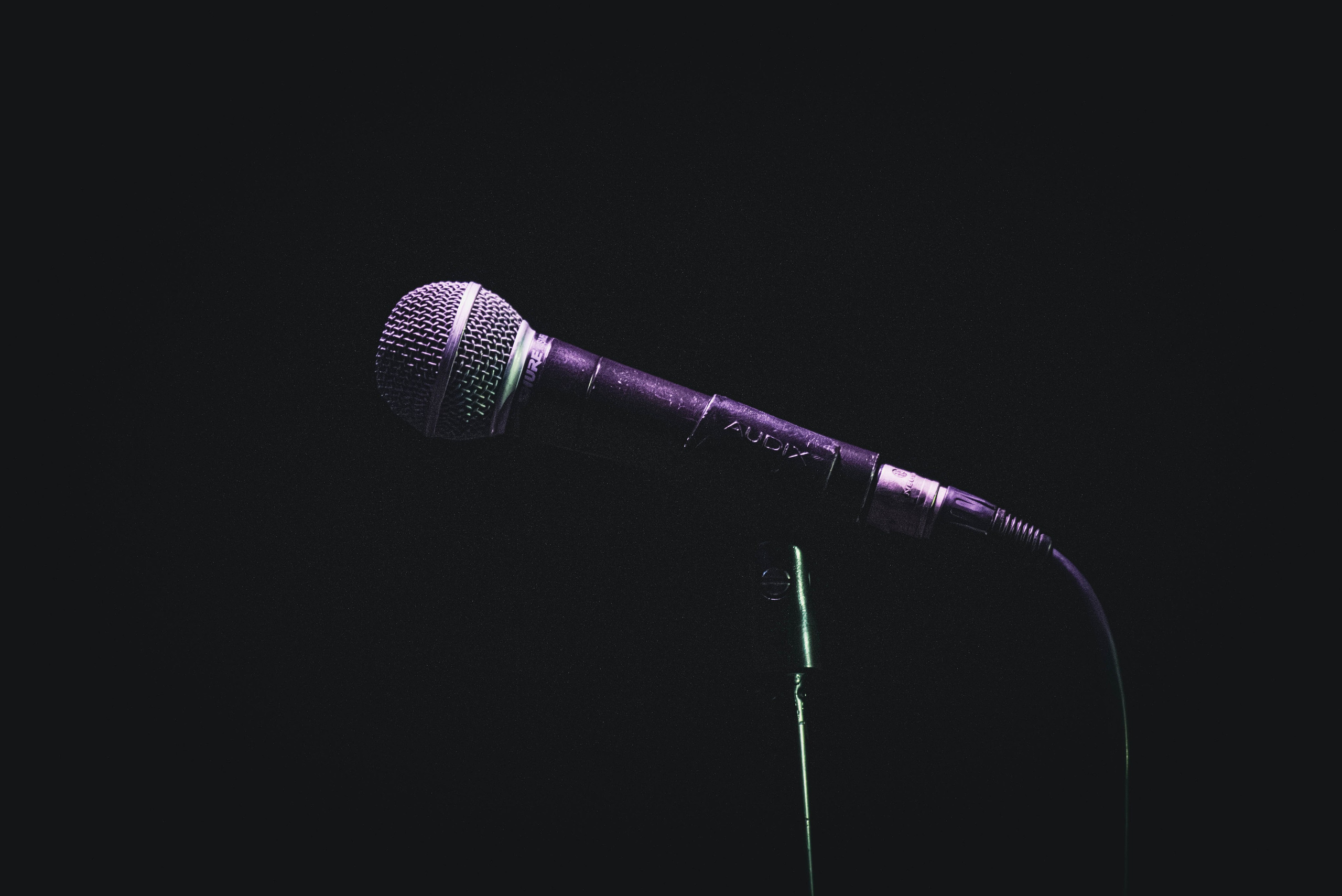 Antarctic (10 ноября 2024 года, Москва, клуб Mezzo Forte). Фотограф Светлана Блинова, Москва и Московская область