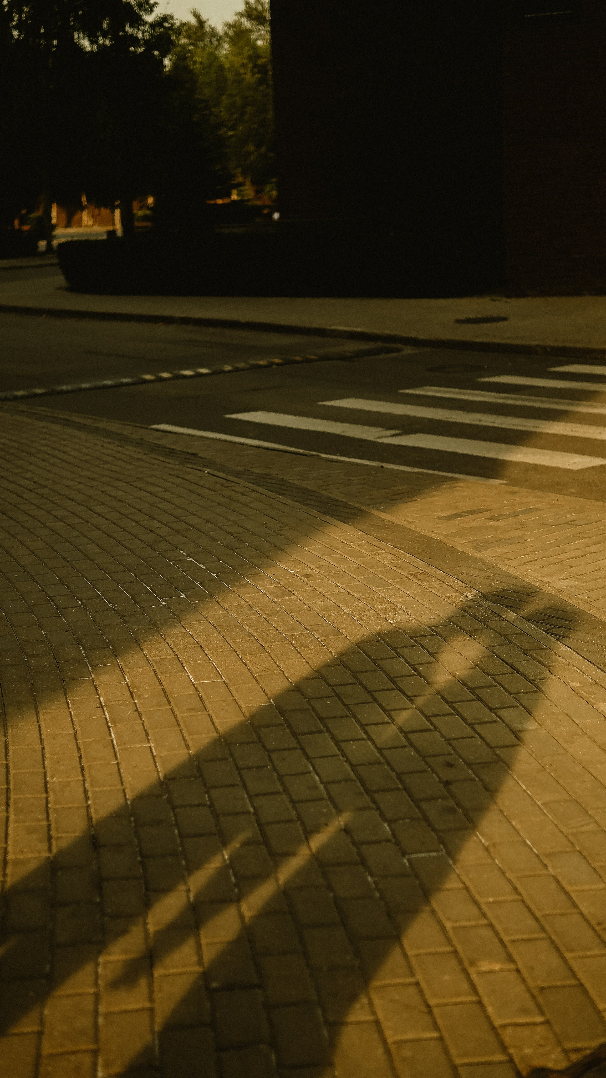 Ира и Максим. Phdkvmr.ru