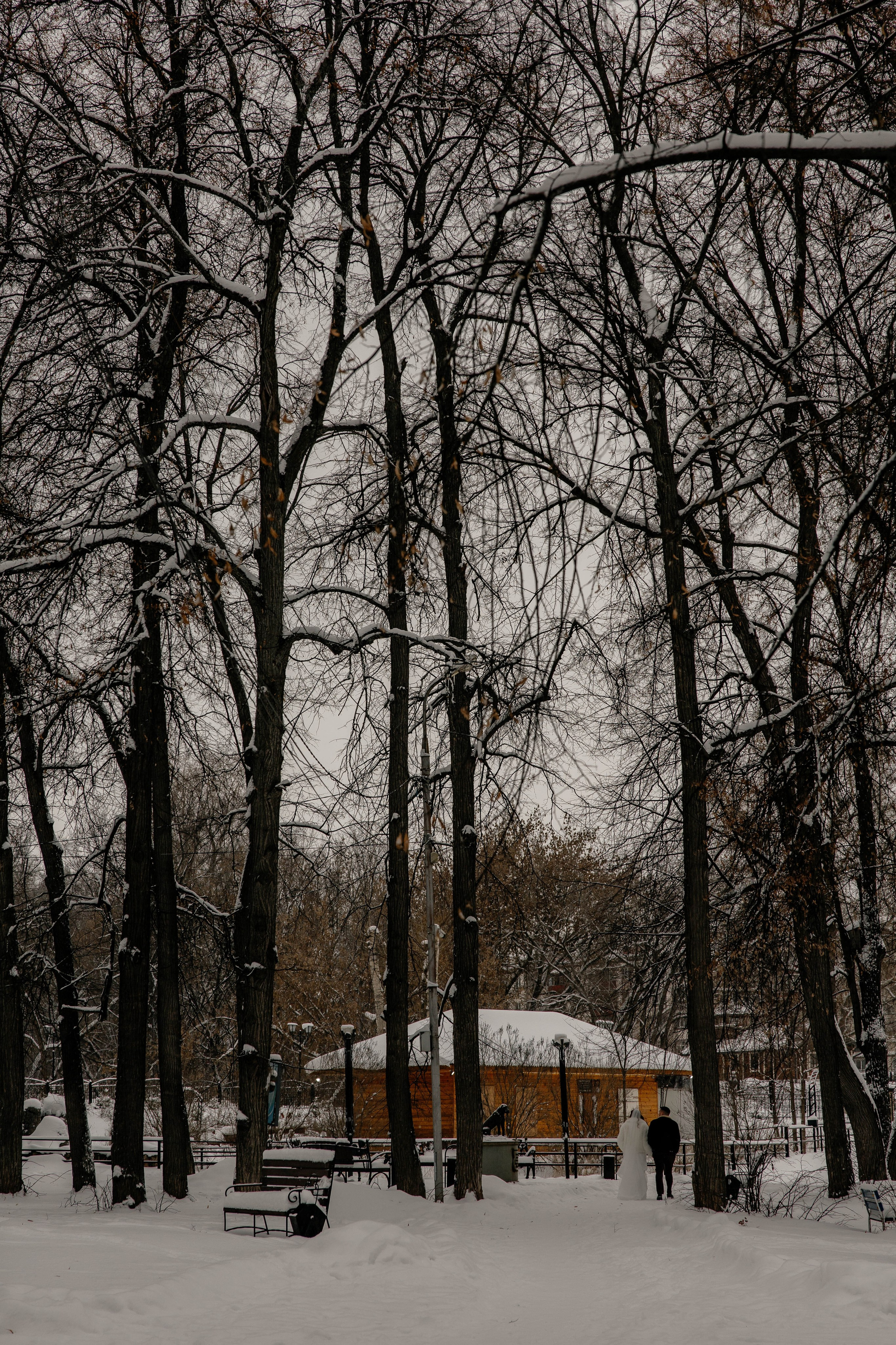 Дмитрий&Надежда. Фотограф Арина Елизарова