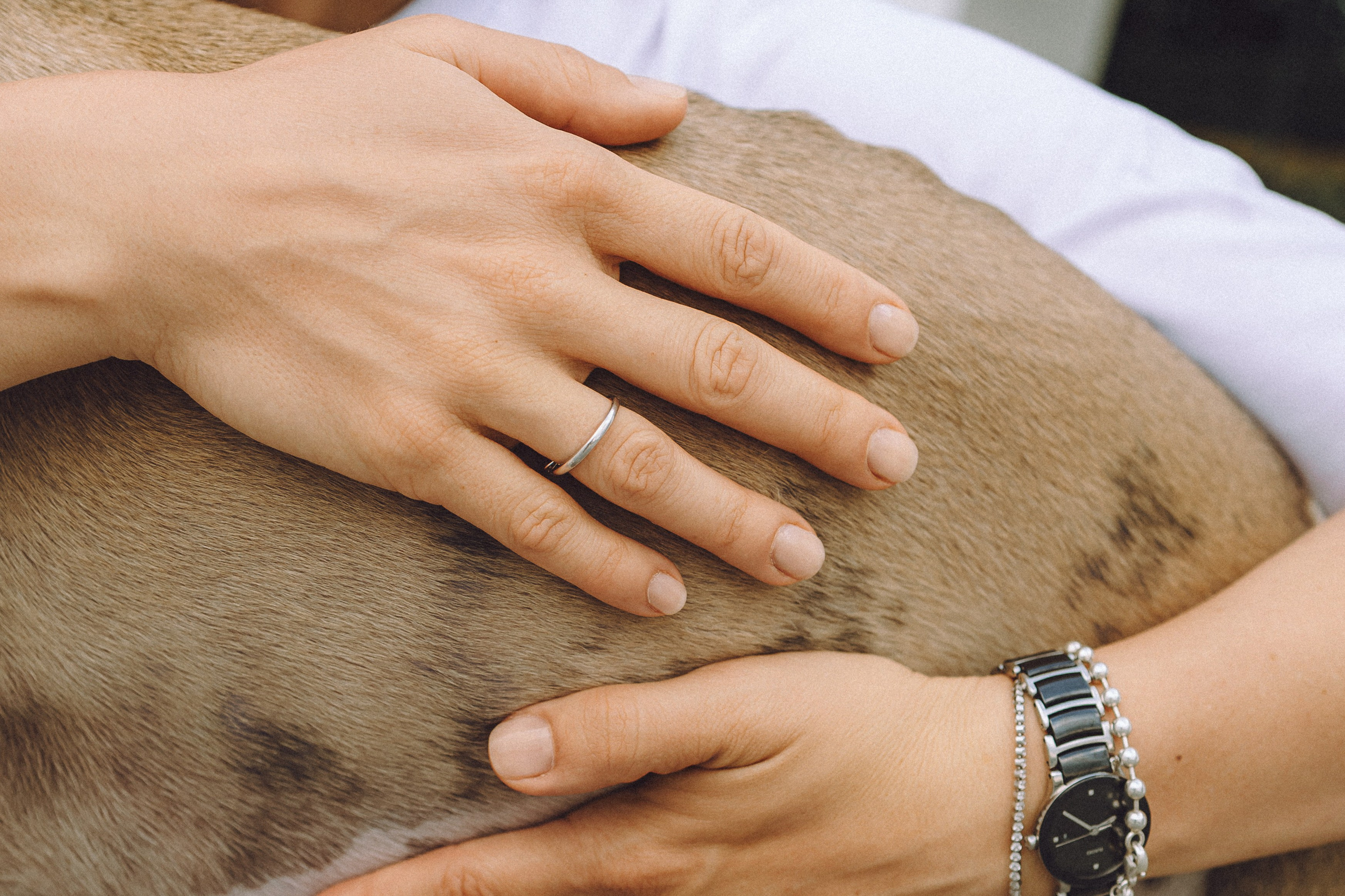 Ирина, Илья и Рик