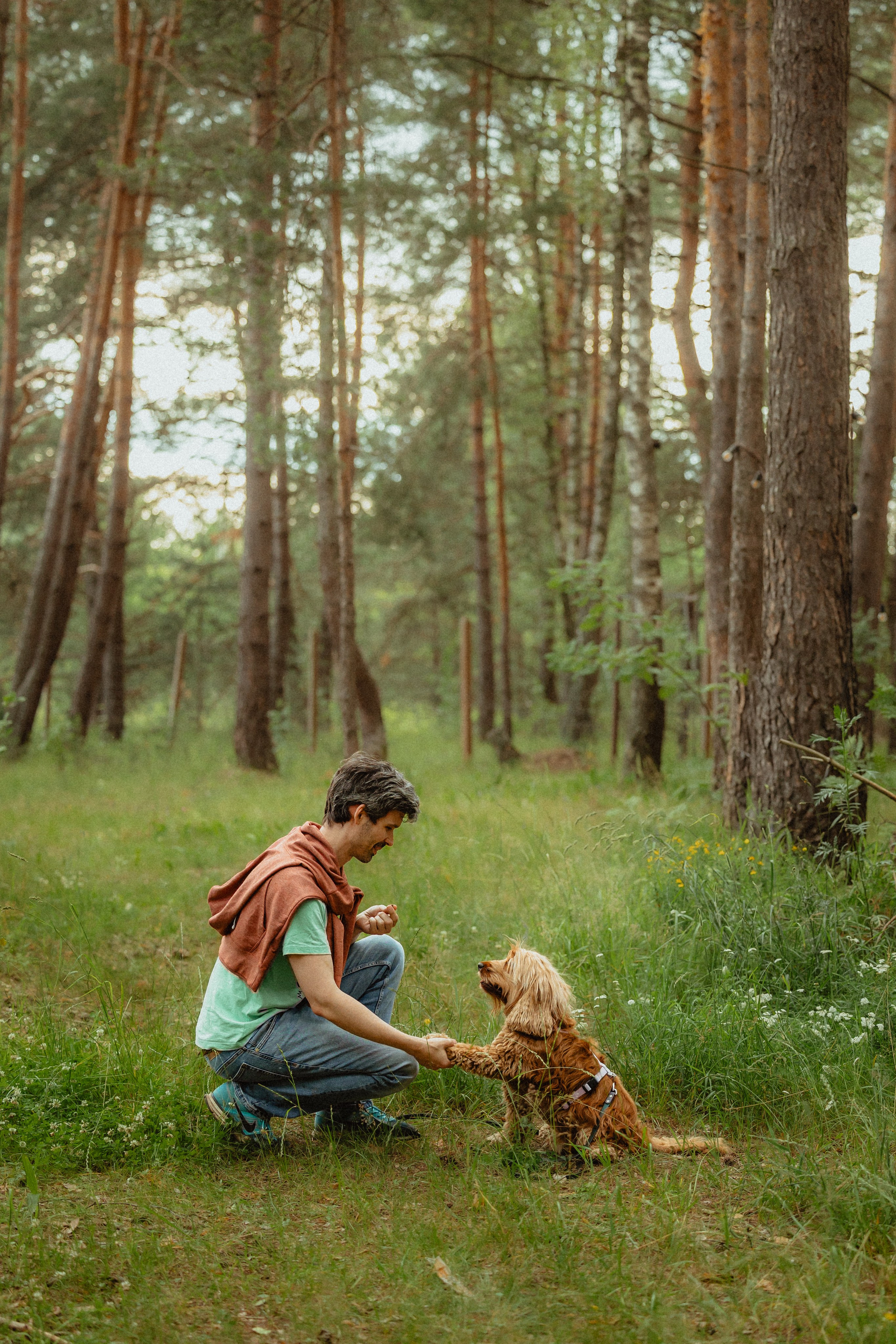 Выездной дог-тренинг от школы «Шерсть имею»
