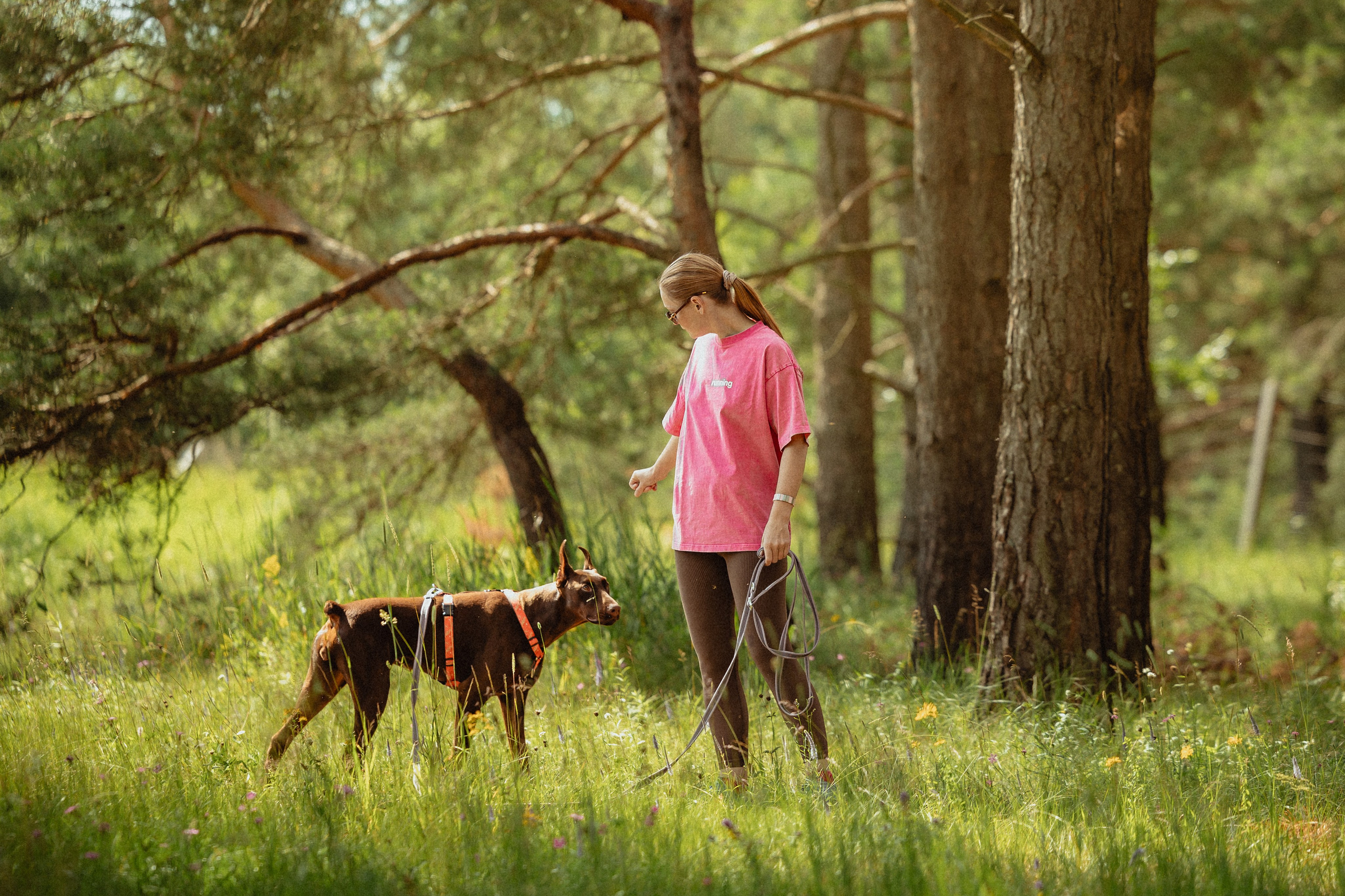Выездной дог-тренинг от школы «Шерсть имею»