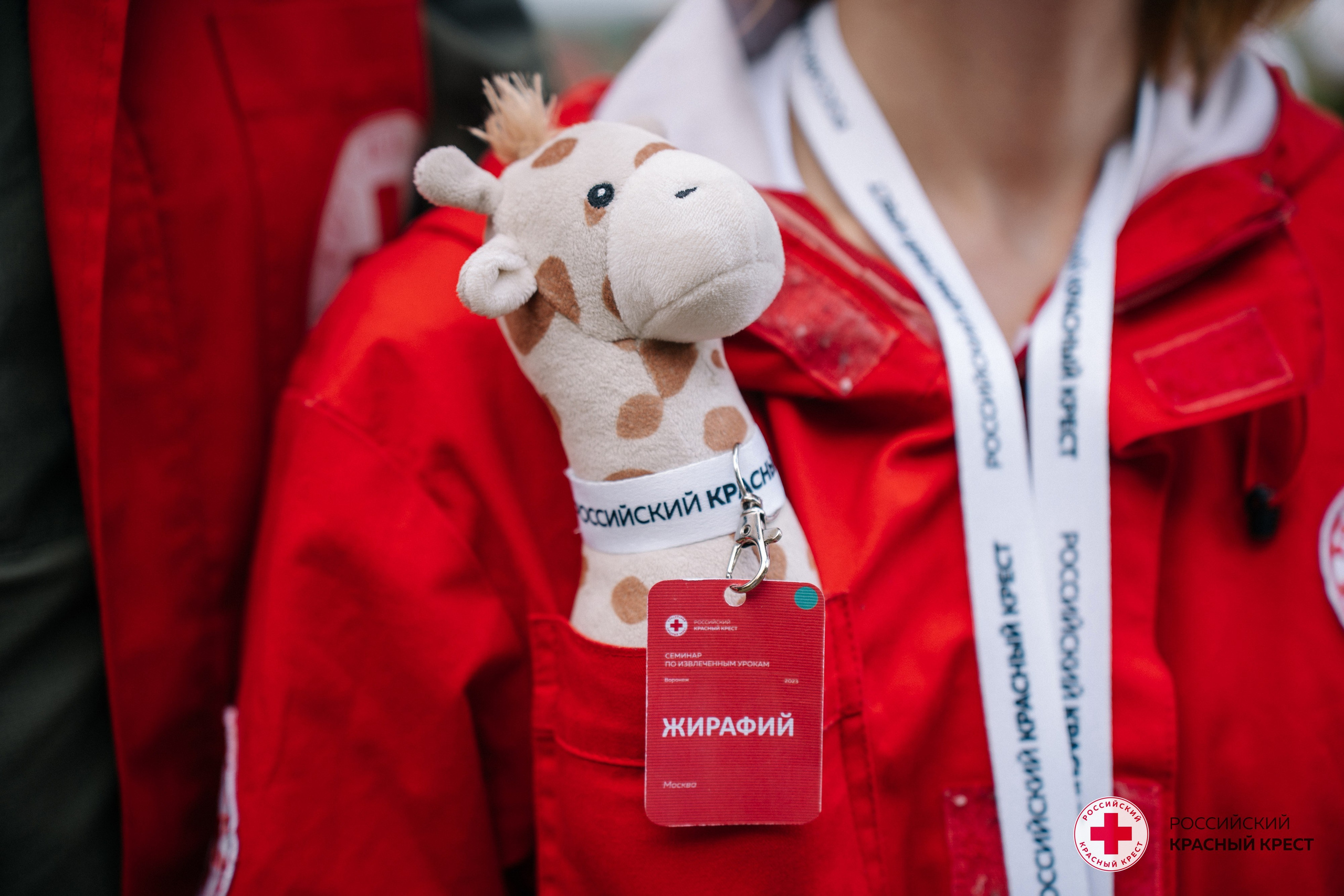 Красный крест | Дегас, медвежья берлога. Фотограф в Воронеже Ольга Космодемьянская