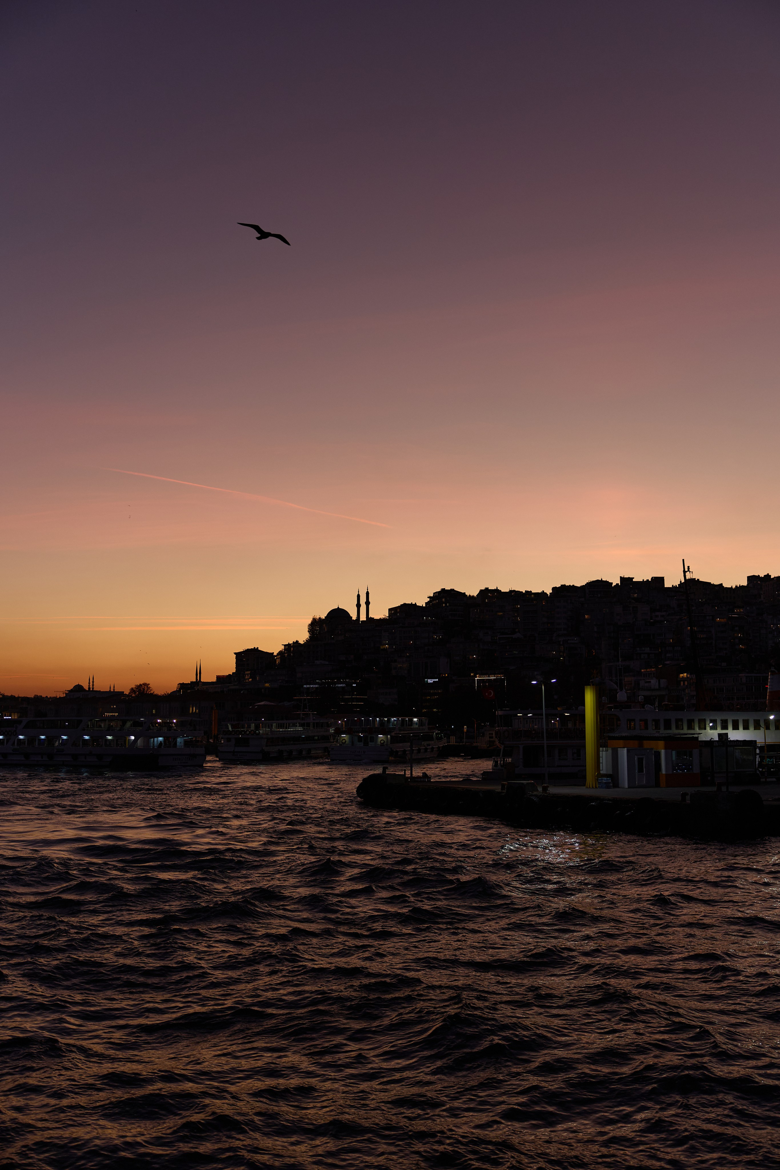 Стамбул 24. Фотограф Москва, Дима Пеллер