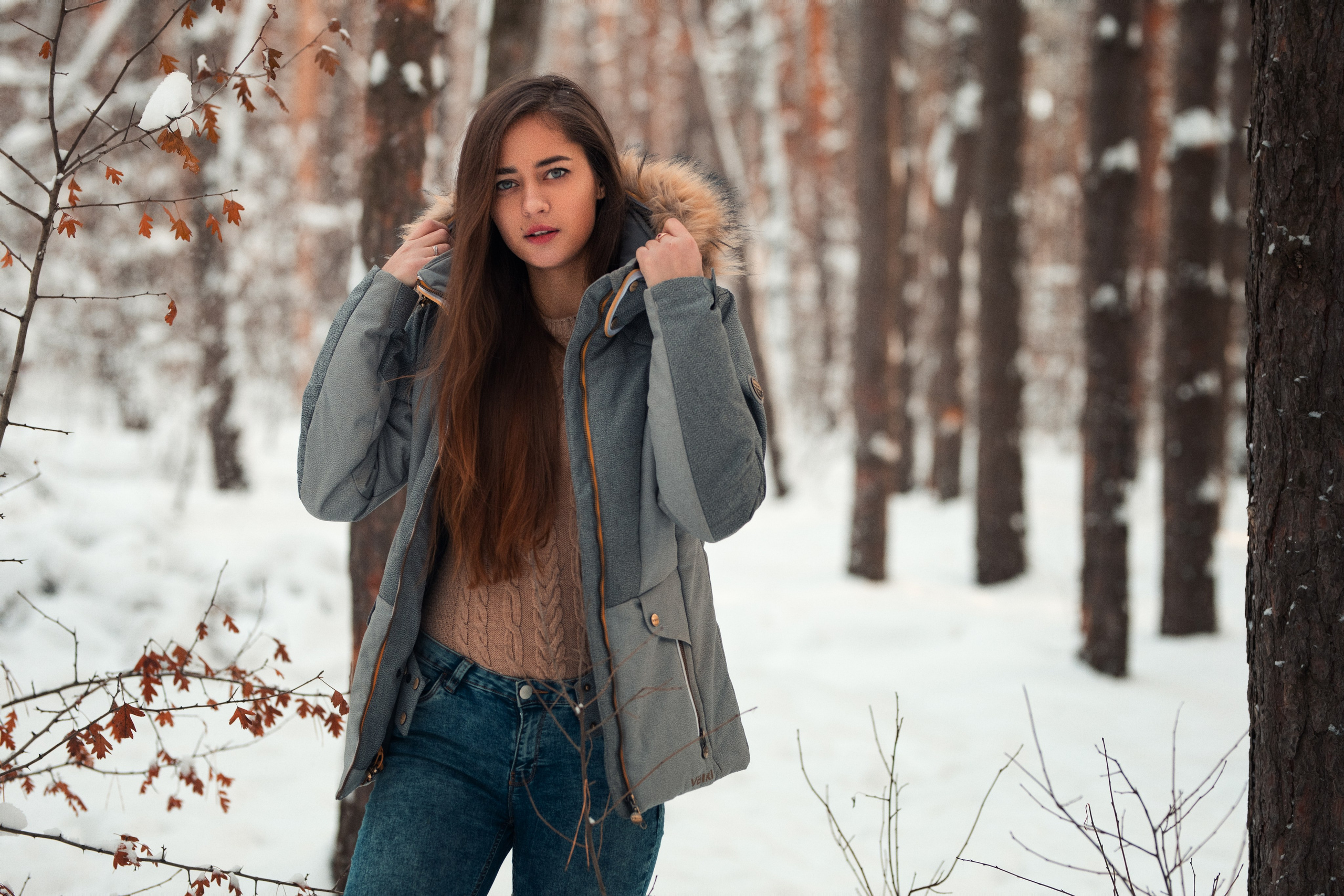 Зимняя съемка в лесу с доберманом с Ольгой в формате для «себя»