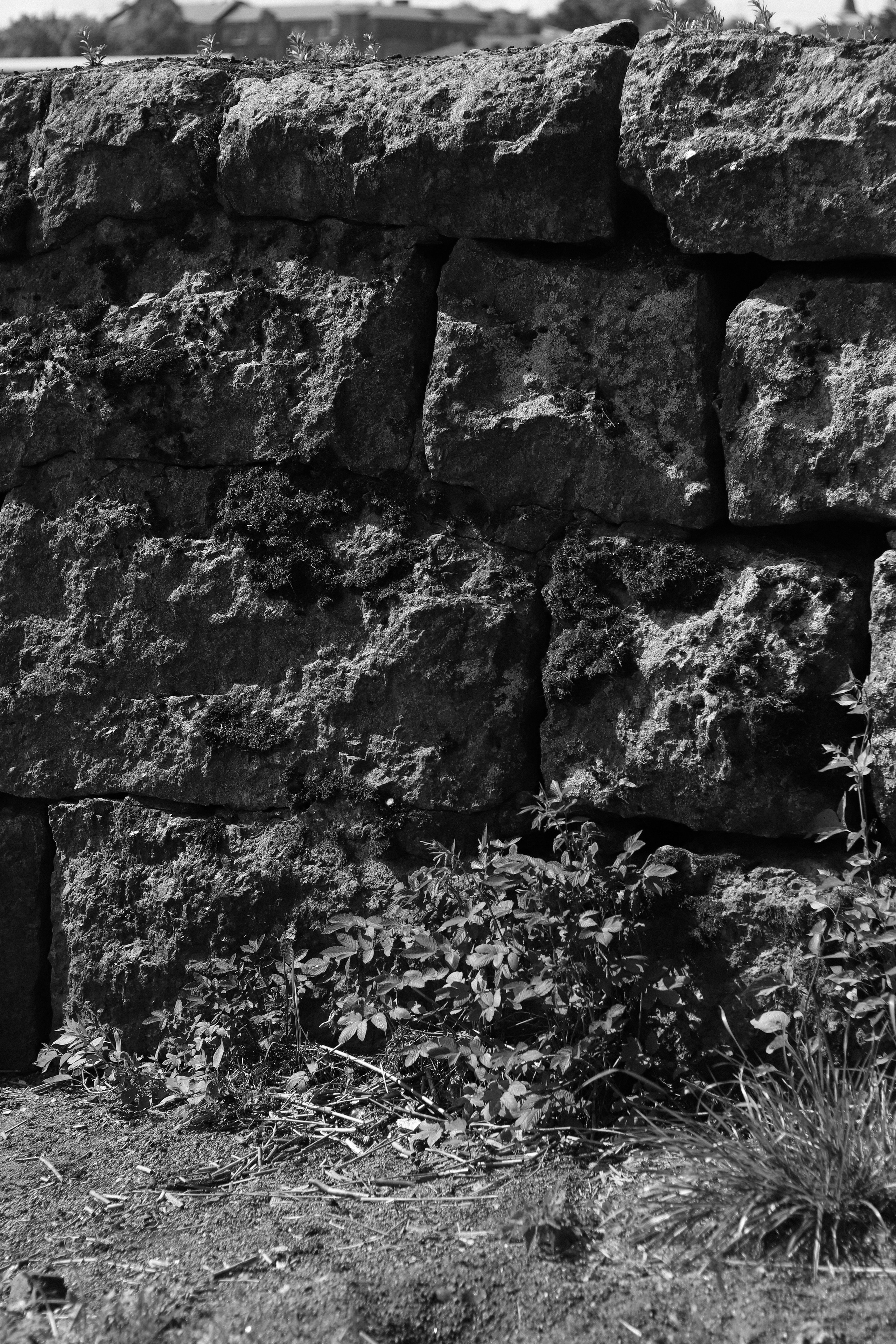 Contour. Фотограф и исследователь фотографии из Санкт-Петербурга Елизавета Веприцкая