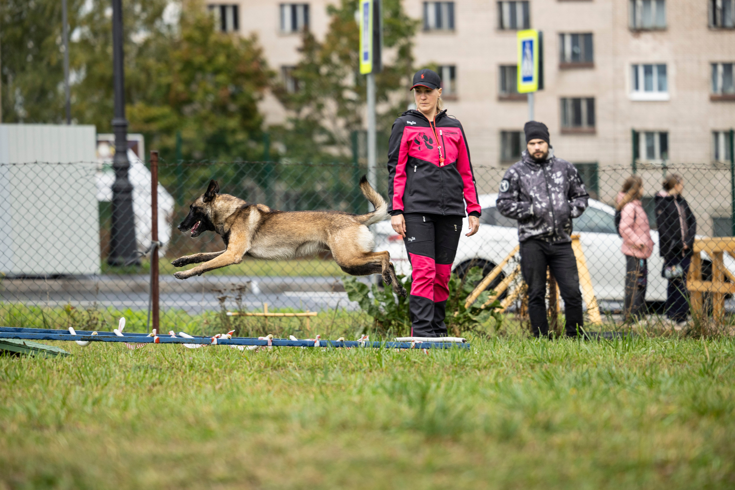 Испытания по Мондьорингу г. Пушкин. Фотограф-анималист Анна Маринич