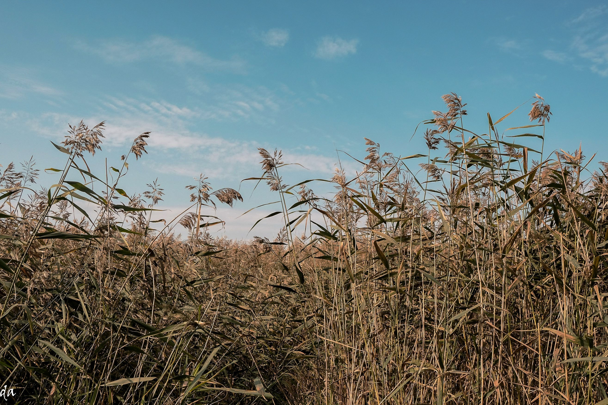 Пейзажи. Фотограф Дмитрий Алексеев