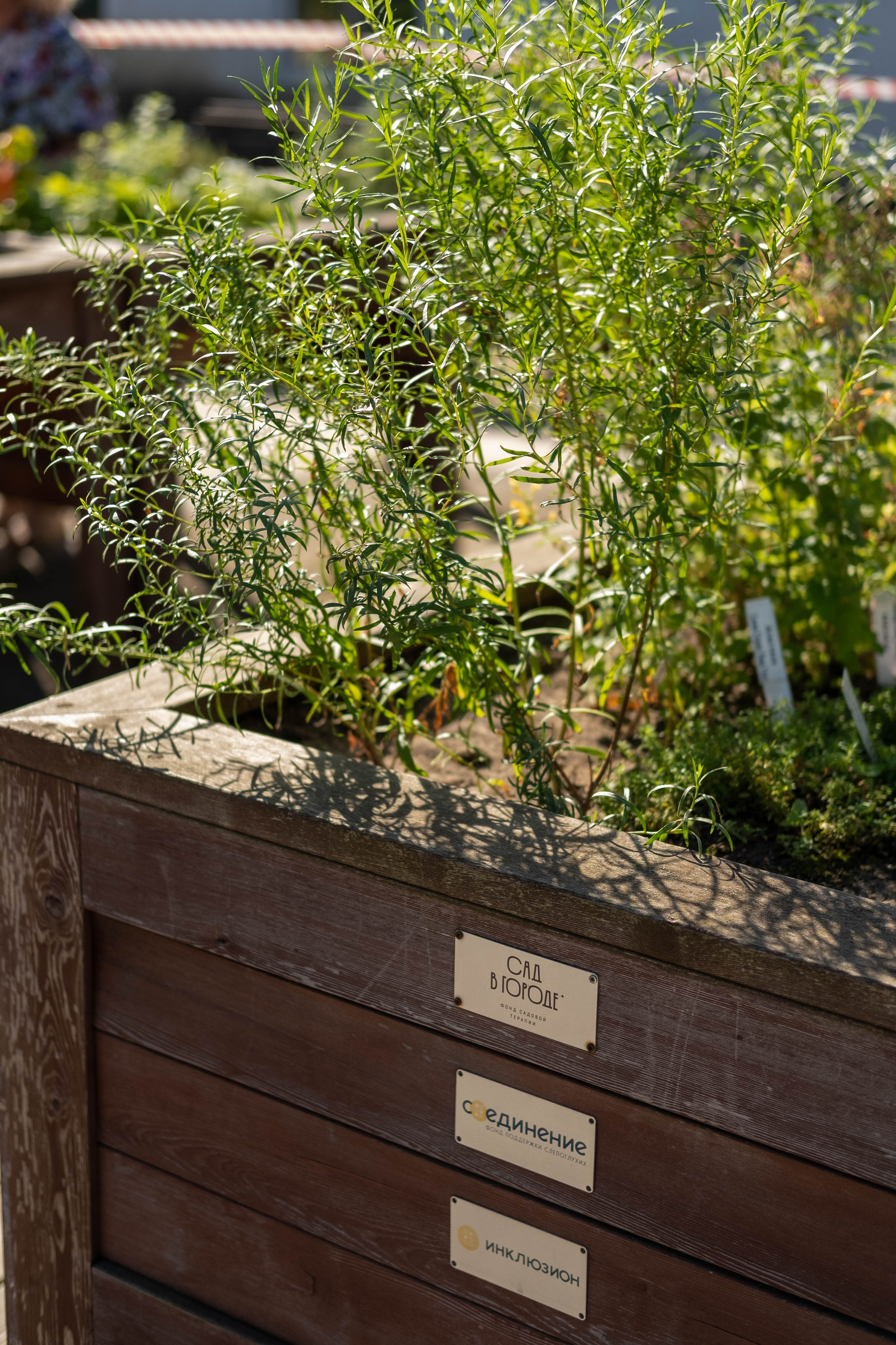Москва 2024. Свадебный и семейный фотограф в Новосибирске, Санкт-Петербурге, Москве