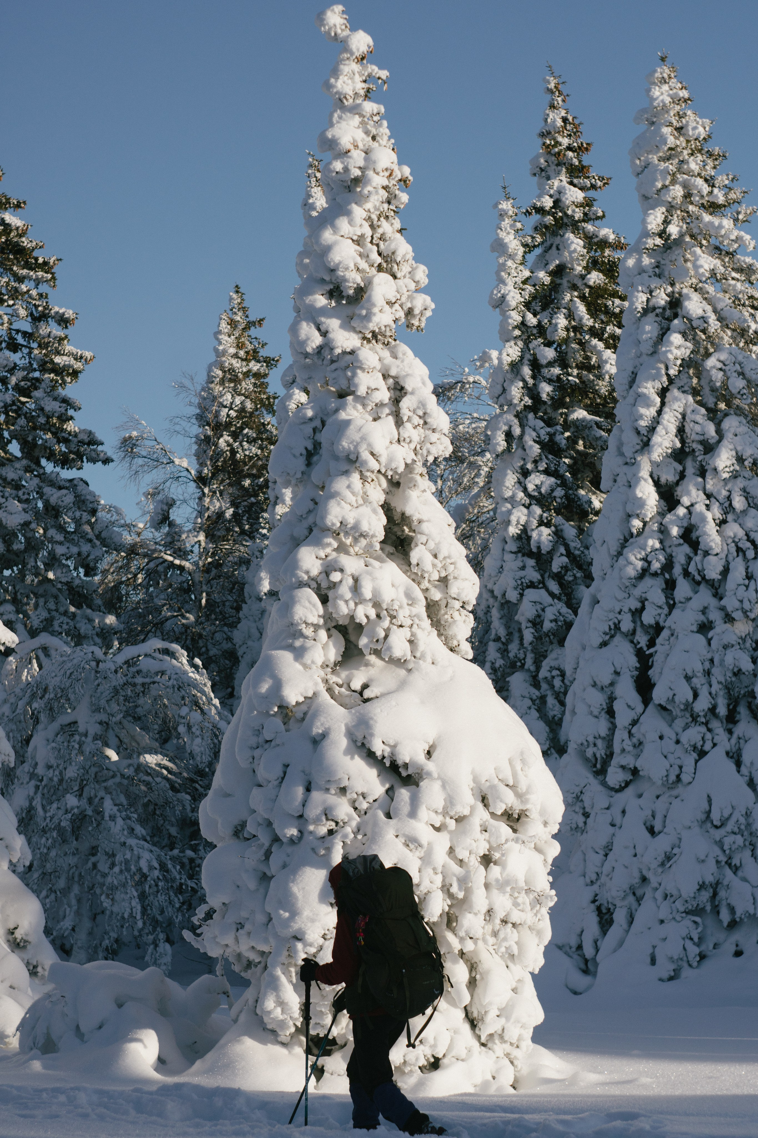 Фотографии из путешествий. NECULTURED PHOTOGRAPHER