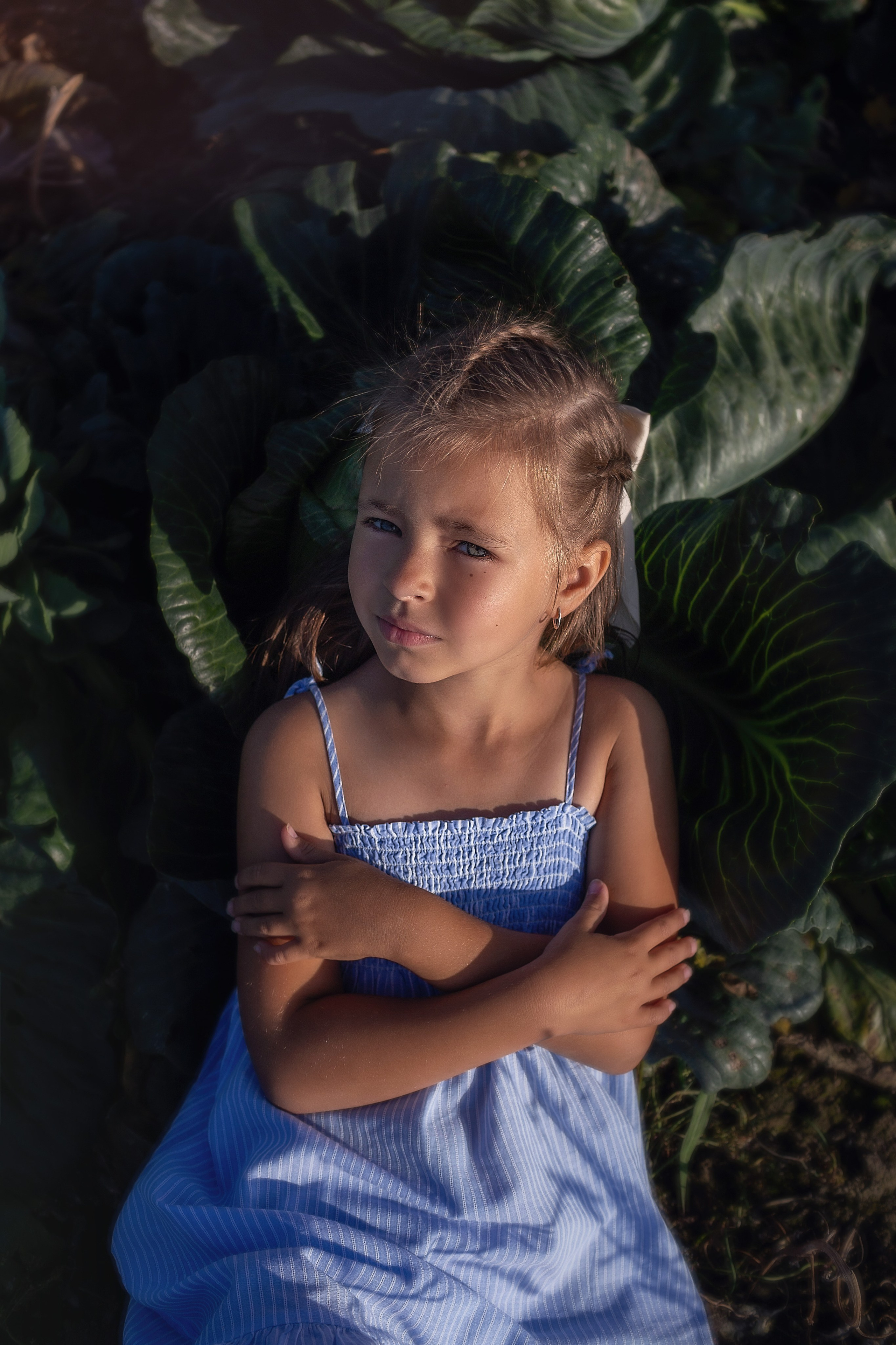 Капустное поле_Ленинградская область. Семейный фотограф в Санкт-Петербурге