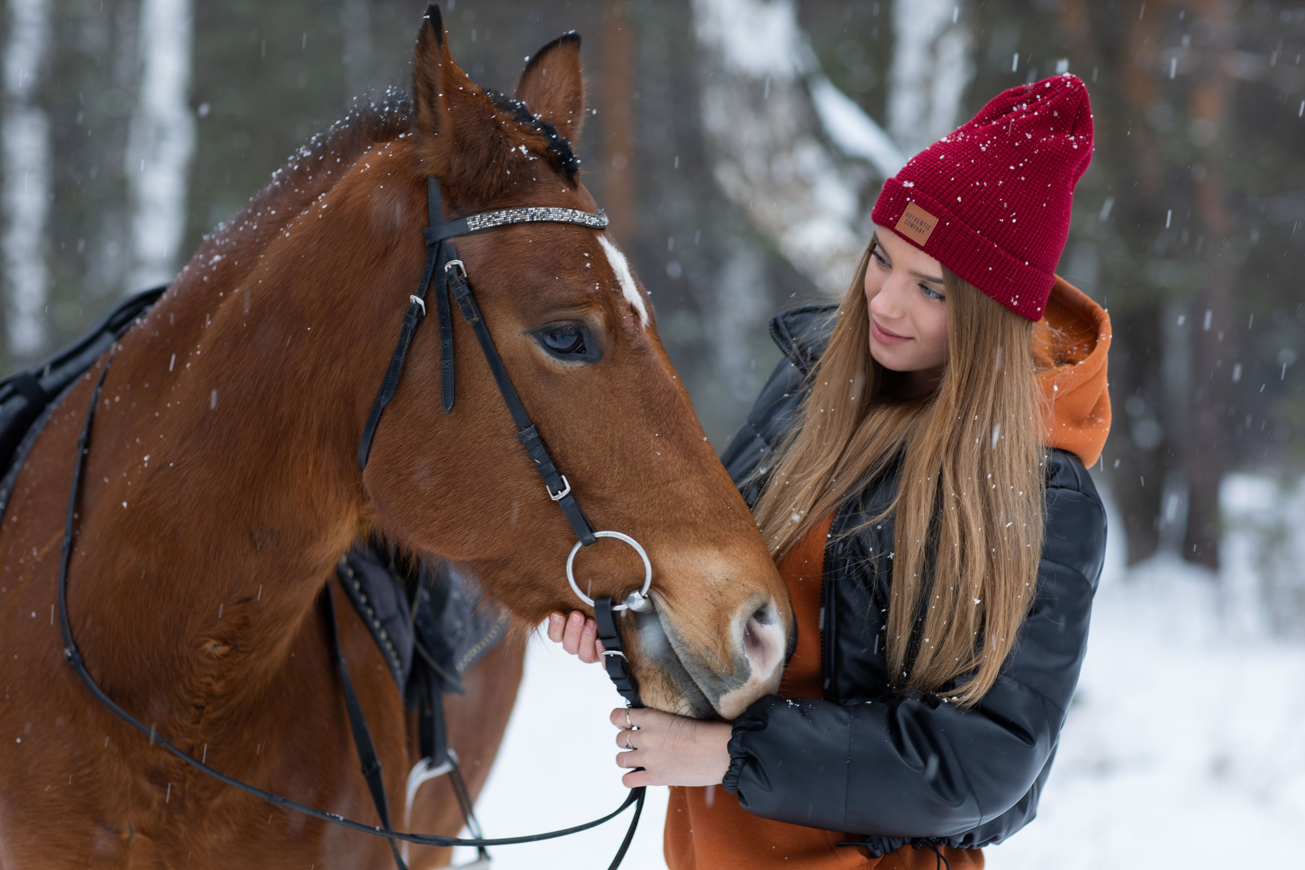 Фотосессия с лошадью зимой в Екатеринбурге. Фотограф Ерохина Светлана — фотосессии в Екатеринбурге