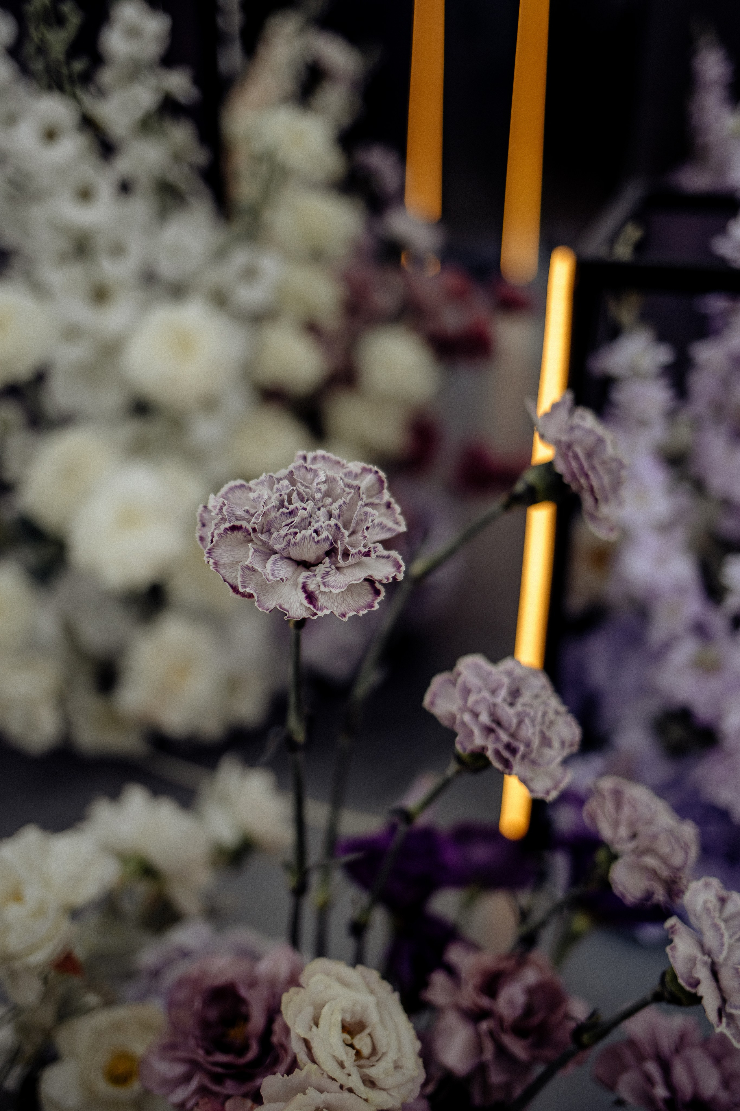 Никита и Ксения. Свадебный фотограф в Саратове Симашова Ирина