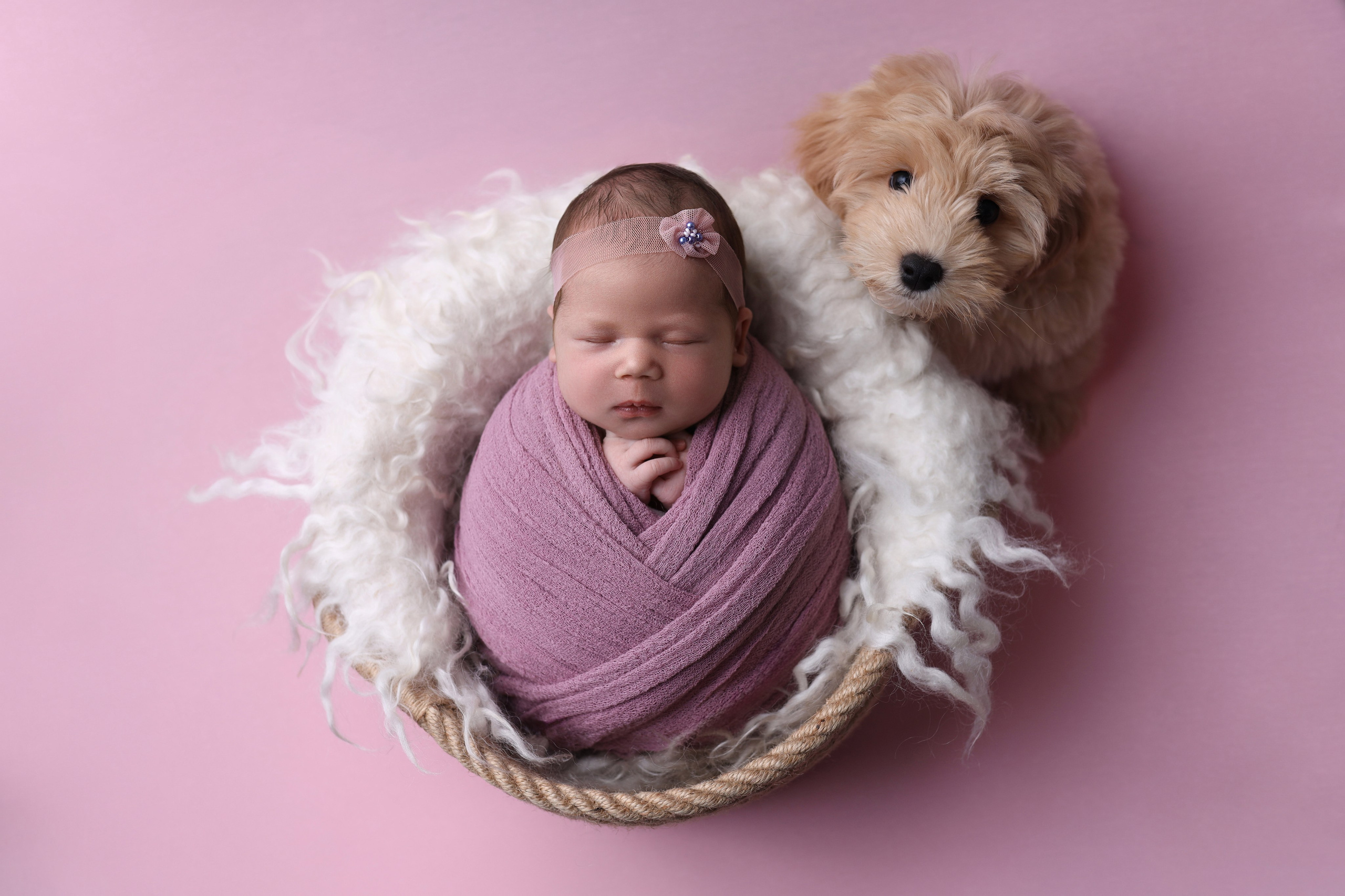 Newborn девочки. Фотограф новорожденных Модяева Ирина