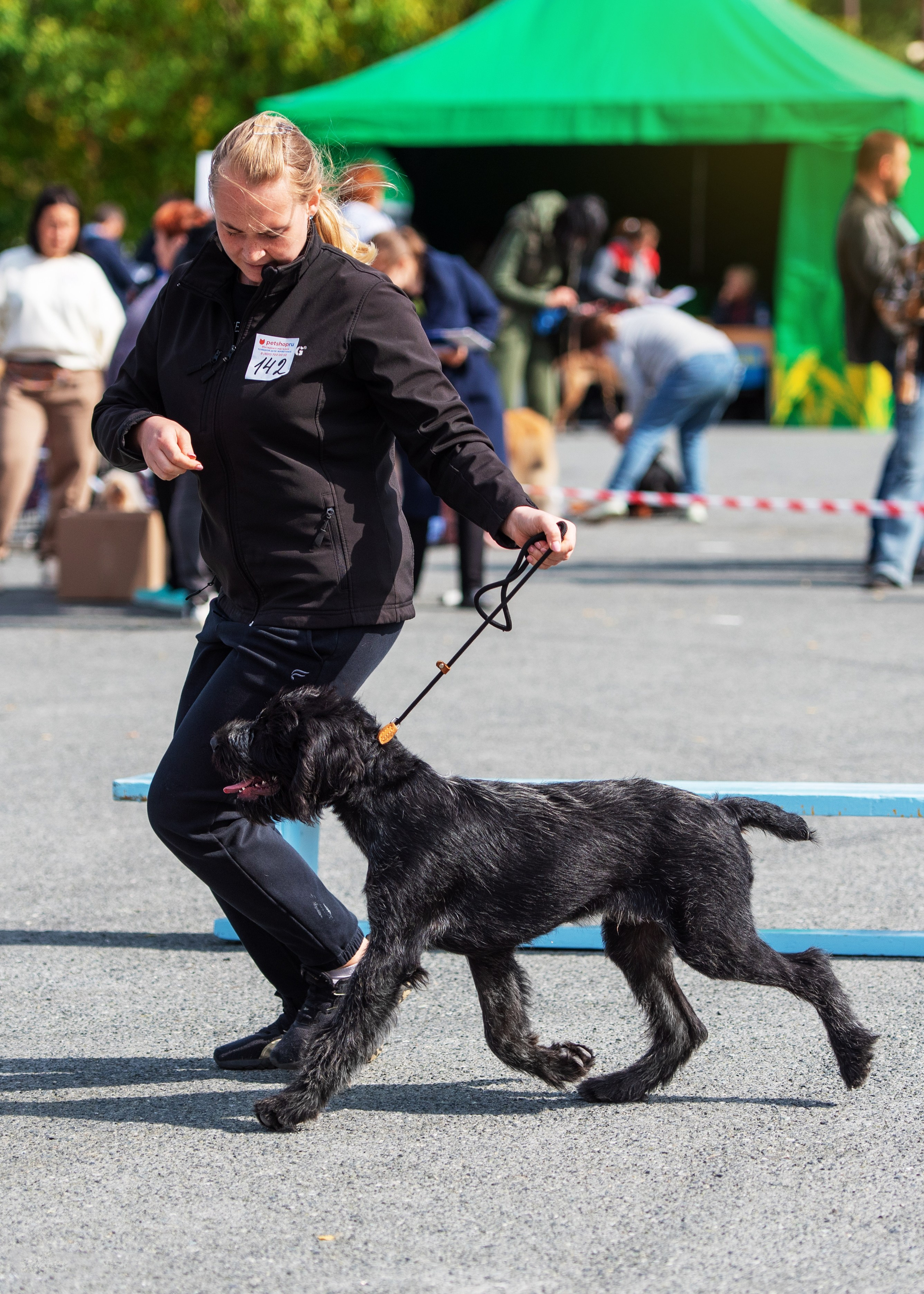 Выставки. Главная